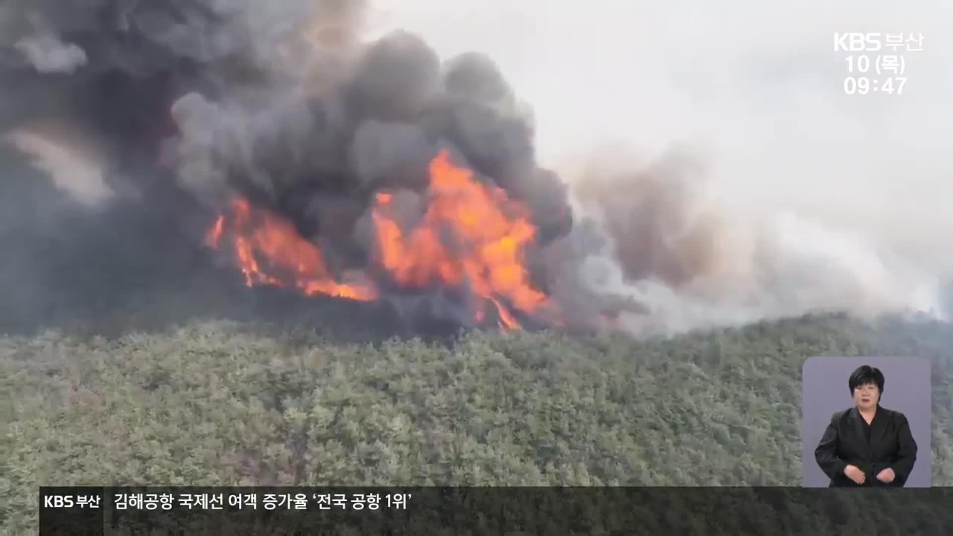대형 산불 키우는 ‘실화’…“처벌 강화해야”
