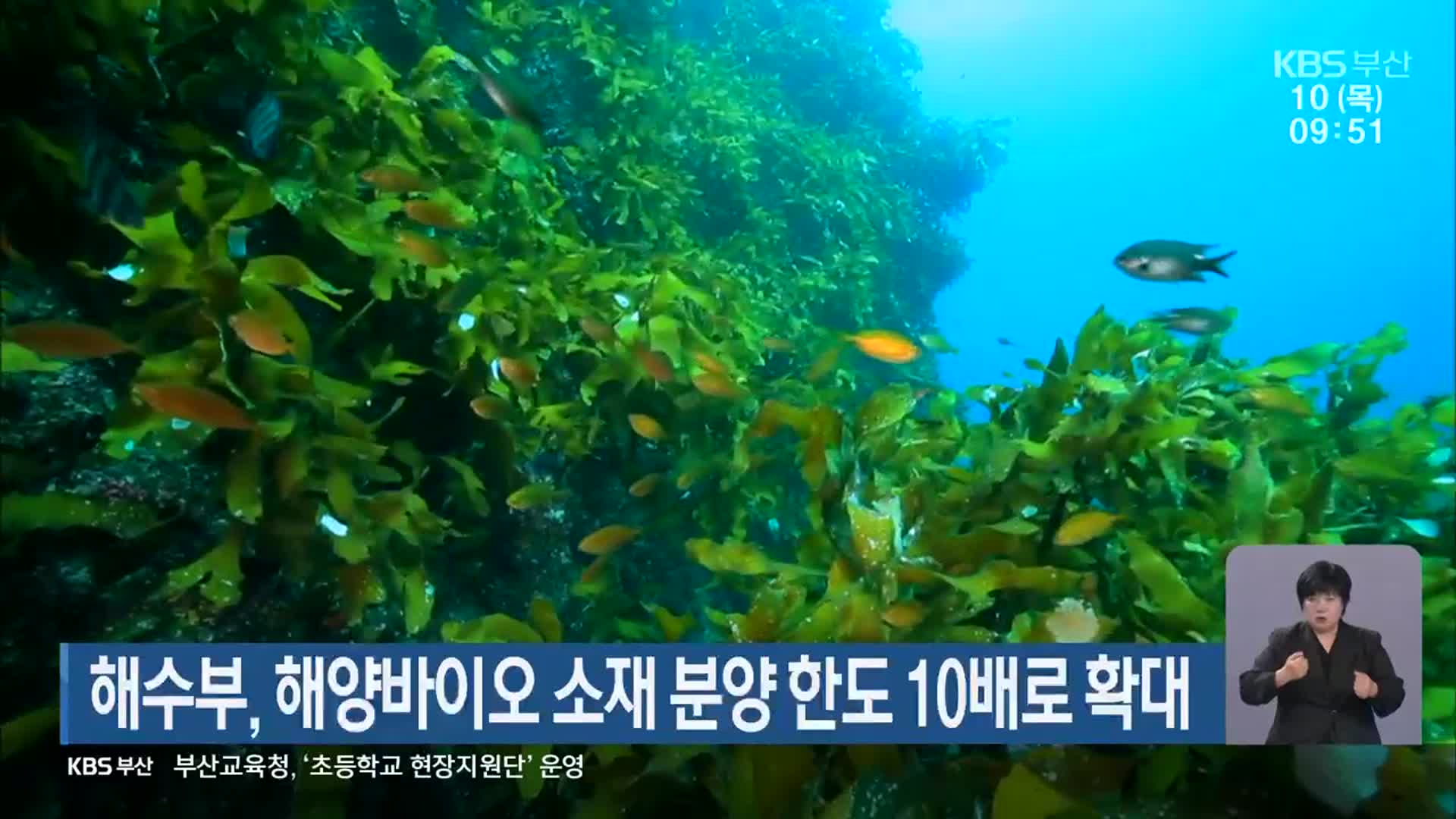 해수부, 해양바이오 소재 분양 한도 10배로 확대