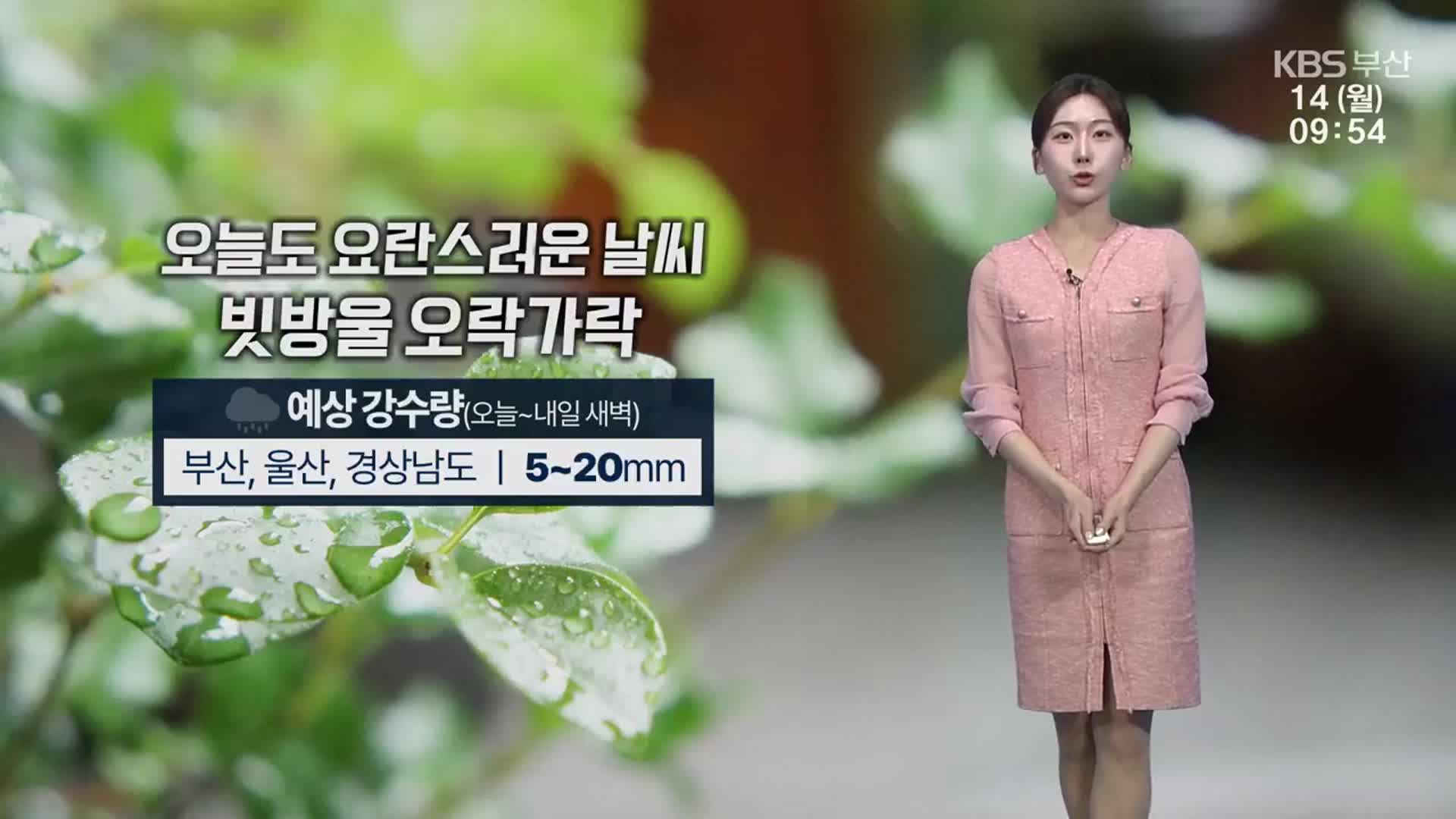 [날씨] 부산 낮 최고 15도, 빗방울 오락가락…오후 강풍 주의