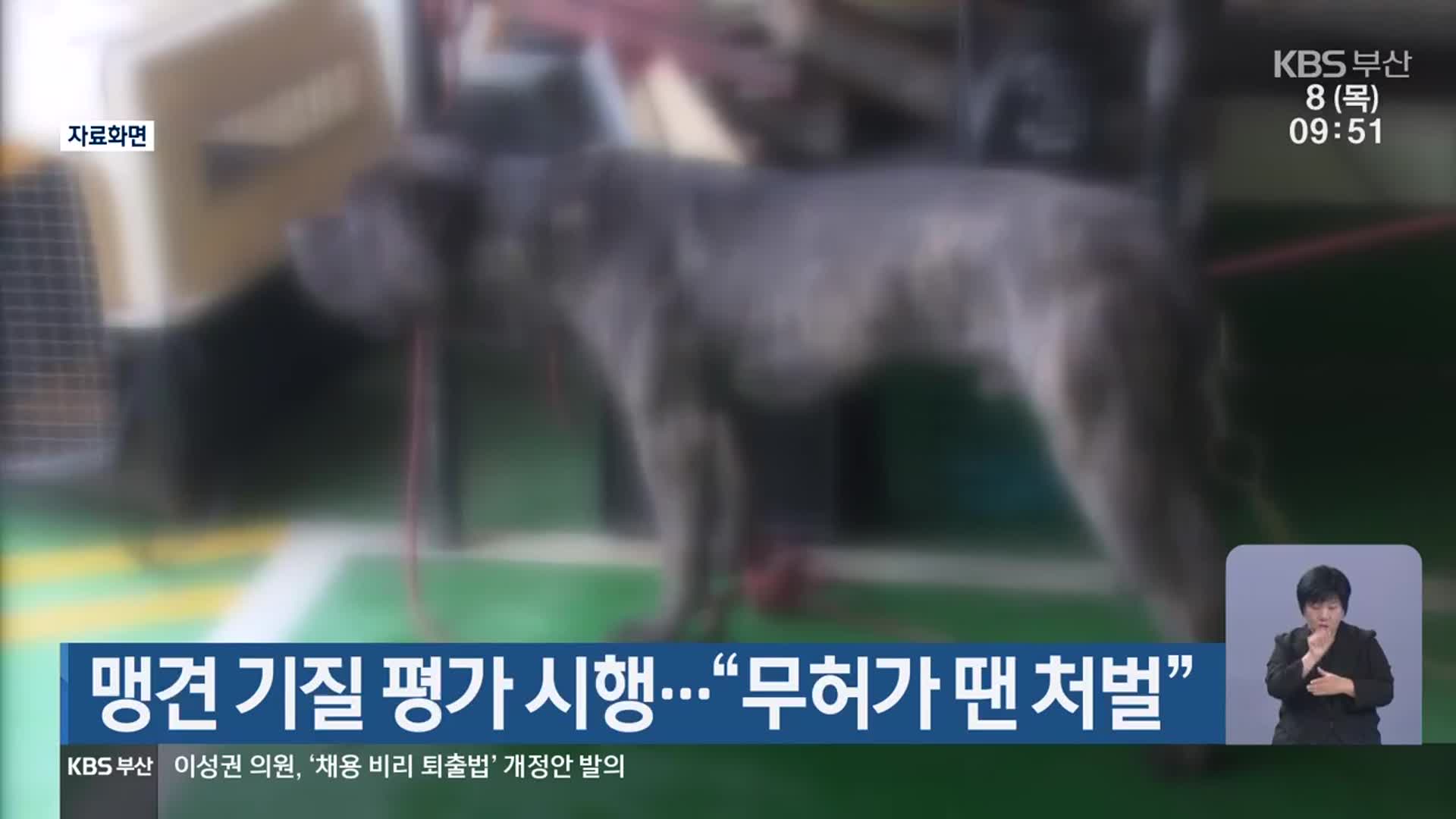 맹견 기질 평가 시행…“무허가 땐 처벌”