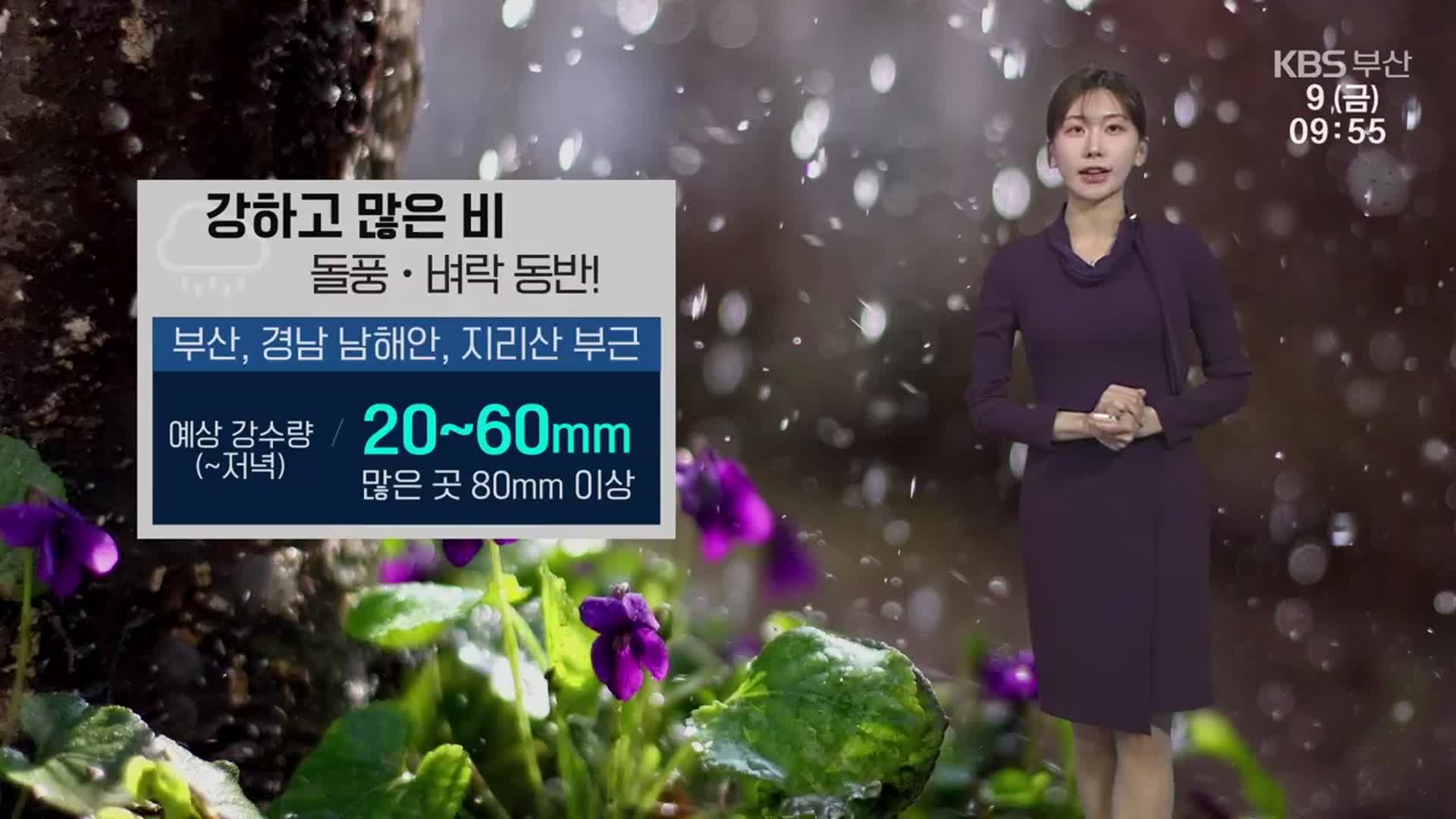 [날씨] 부산 저녁까지 최대 80mm 이상 강한 비…돌풍·벼락 동반