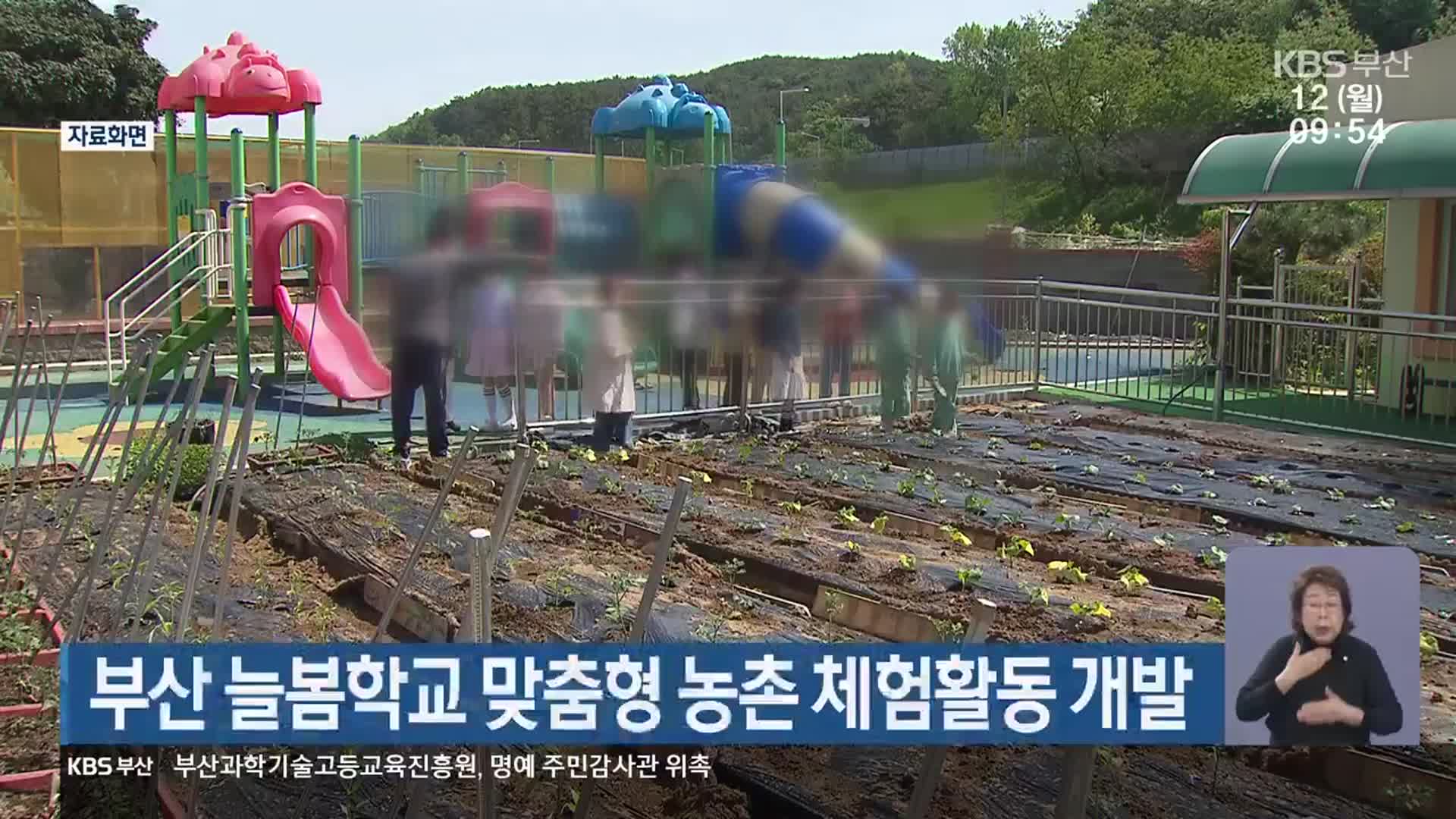 부산 늘봄학교 맞춤형 농촌 체험활동 개발