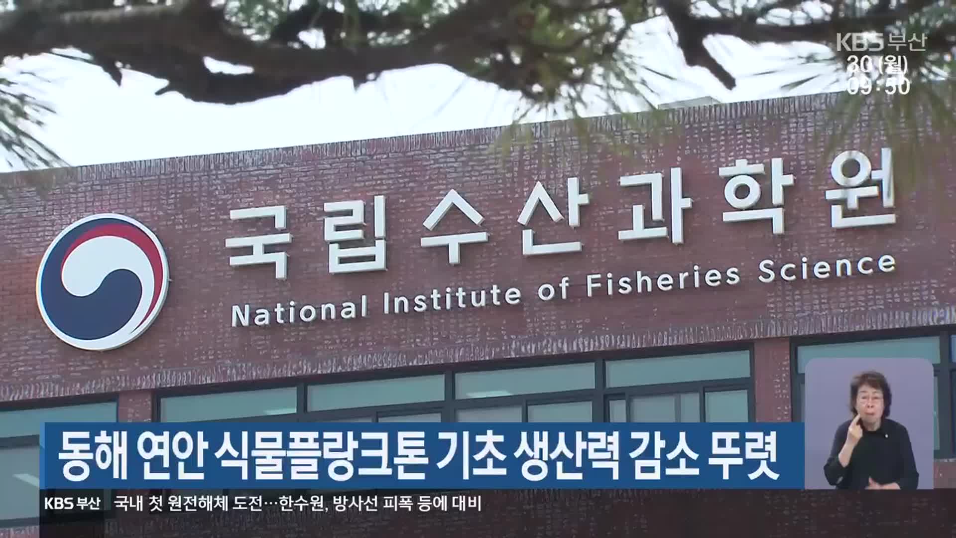 동해 연안 식물플랑크톤 기초 생산력 감소 뚜렷