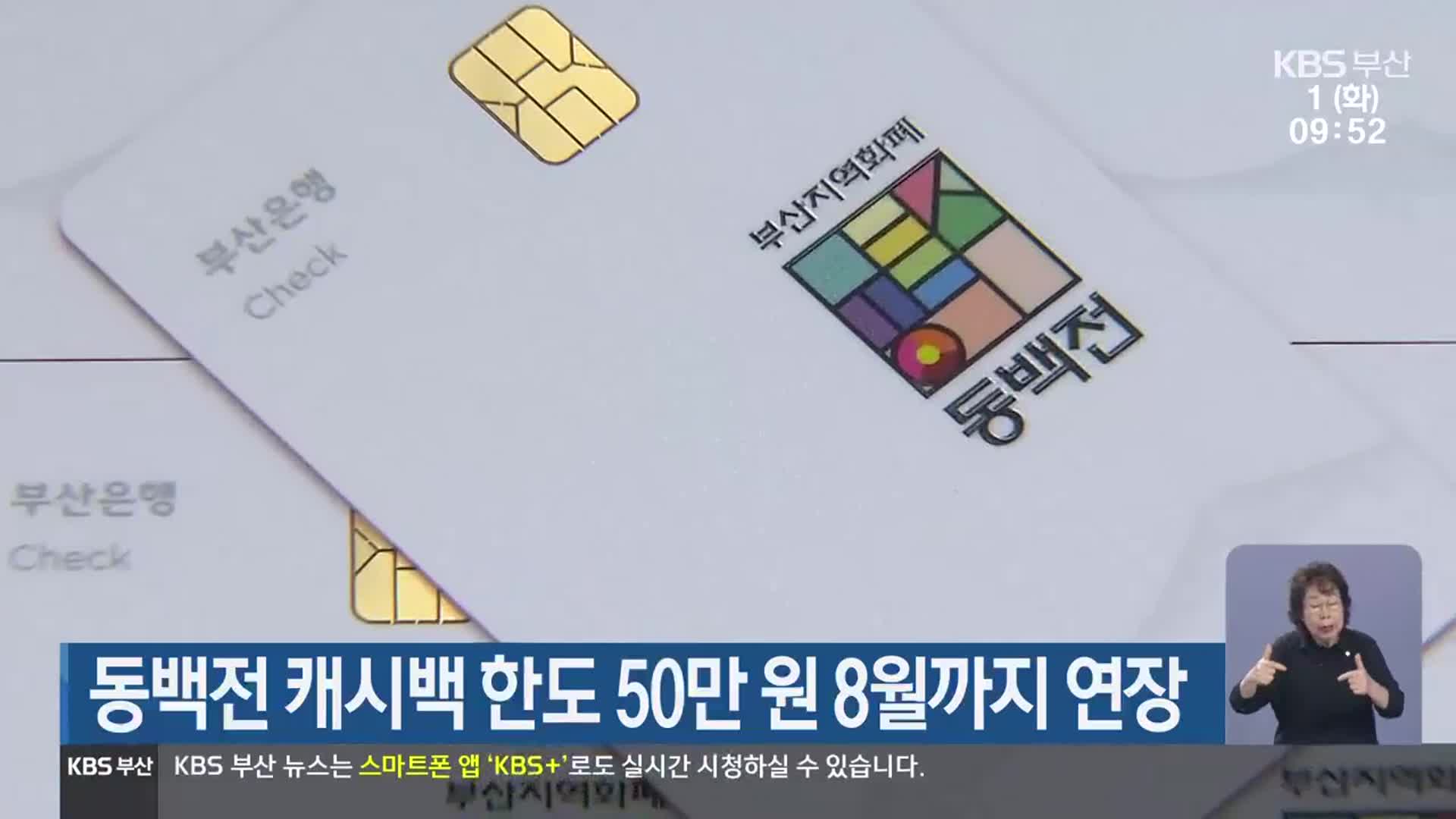 동백전 캐시백 한도 50만 원 8월까지 연장