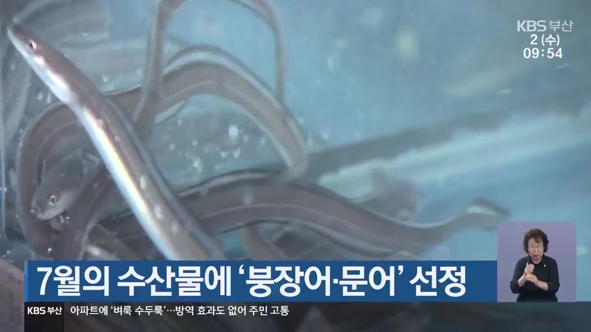 7월의 수산물에 ‘붕장어·문어’ 선정