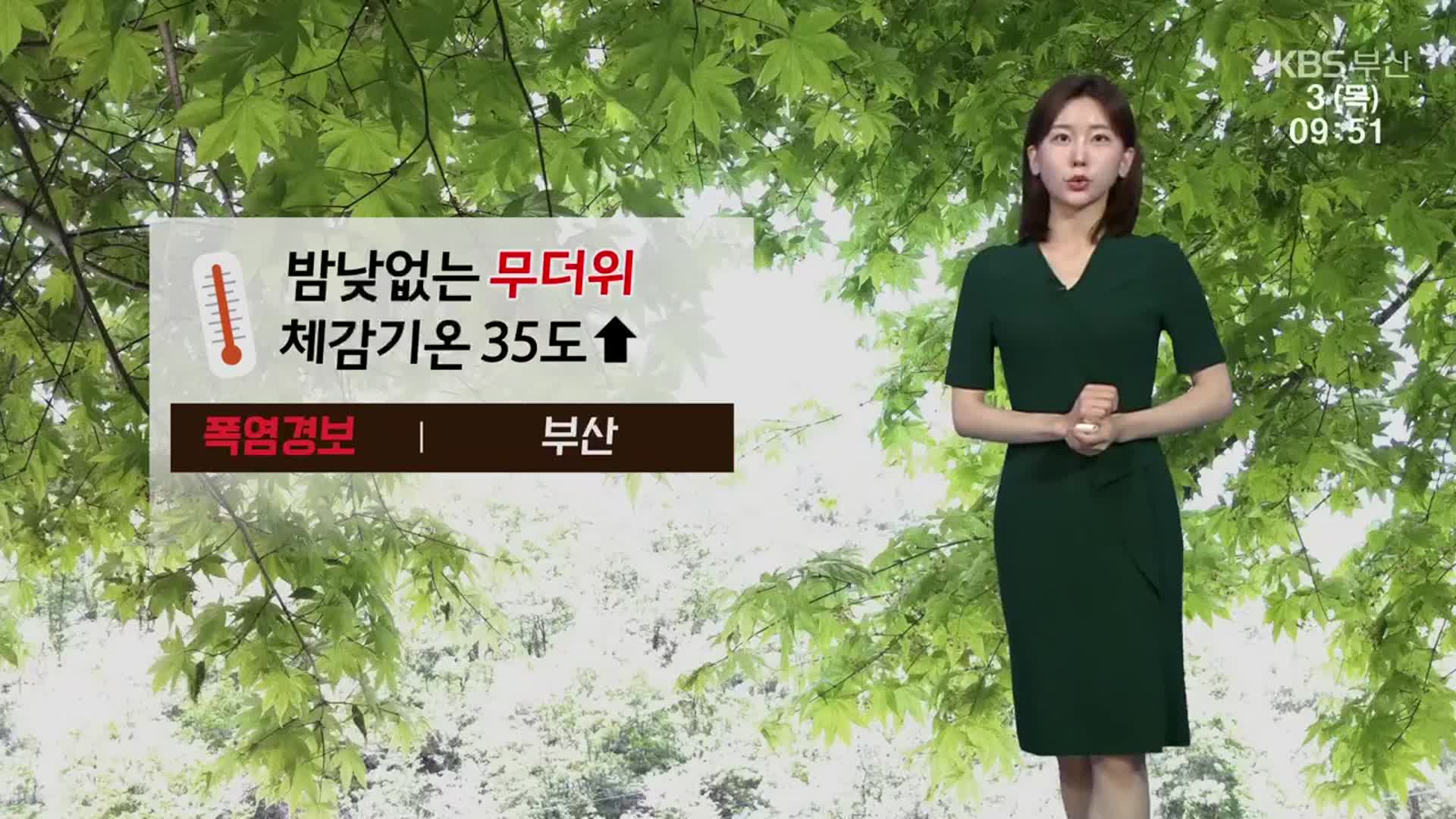 [날씨] 부산 전역 폭염경보…밤낮 없는 무더위 기승