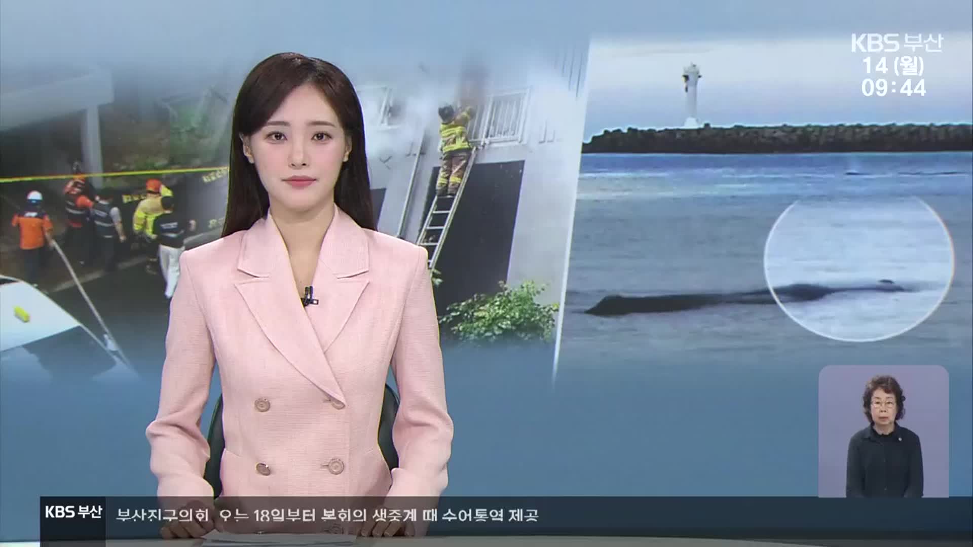 [930뉴스 부산 오프닝]