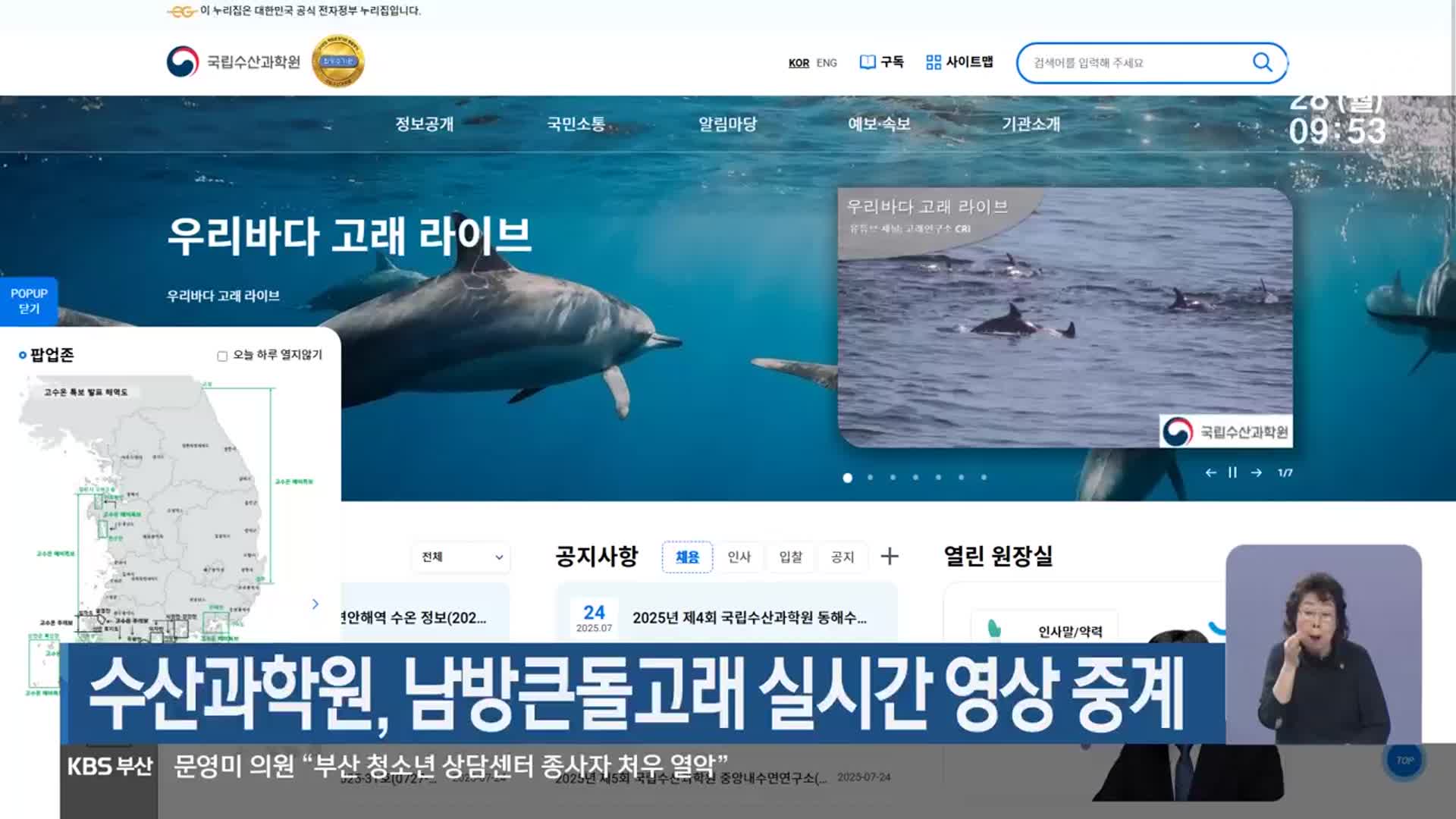 수산과학원, 남방큰돌고래 실시간 영상 중계