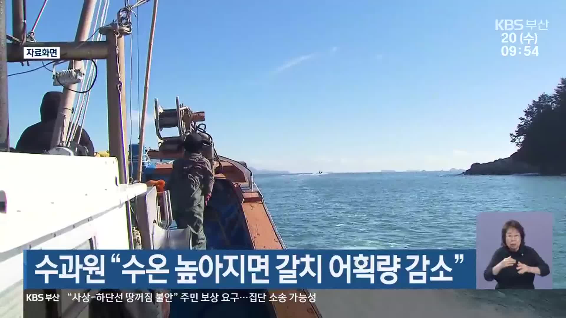 수과원 “수온 높아지면 갈치 어획량 감소”