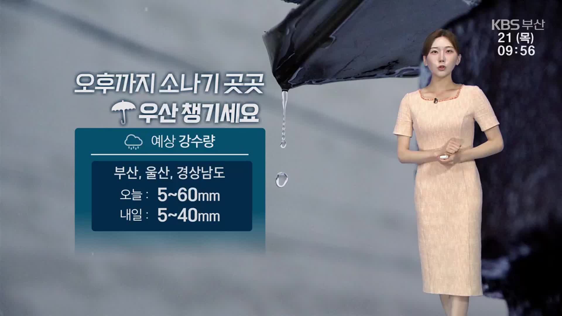 [날씨] 부산 폭염특보 장기화…오후까지 곳곳 소나기