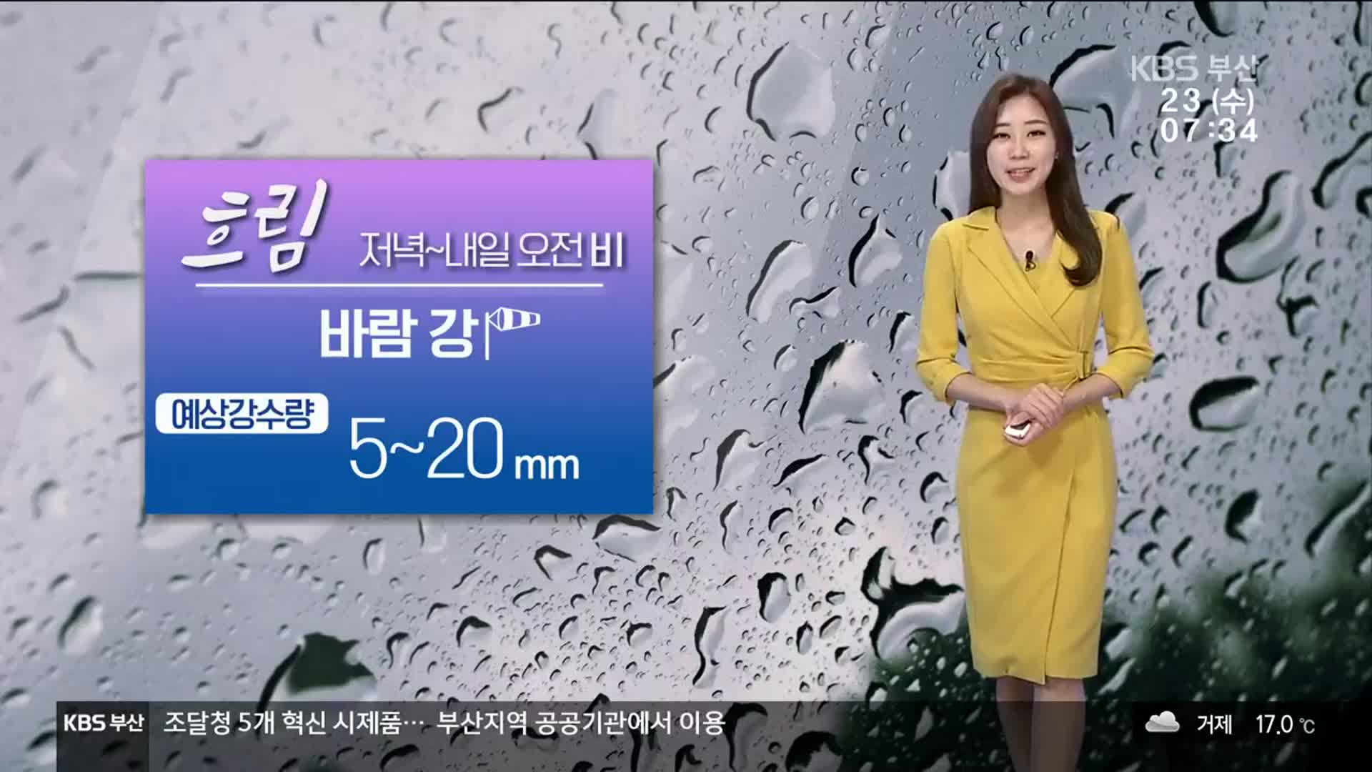 [날씨] 부산 대체로 흐리다 저녁부터 5~20㎜ 비