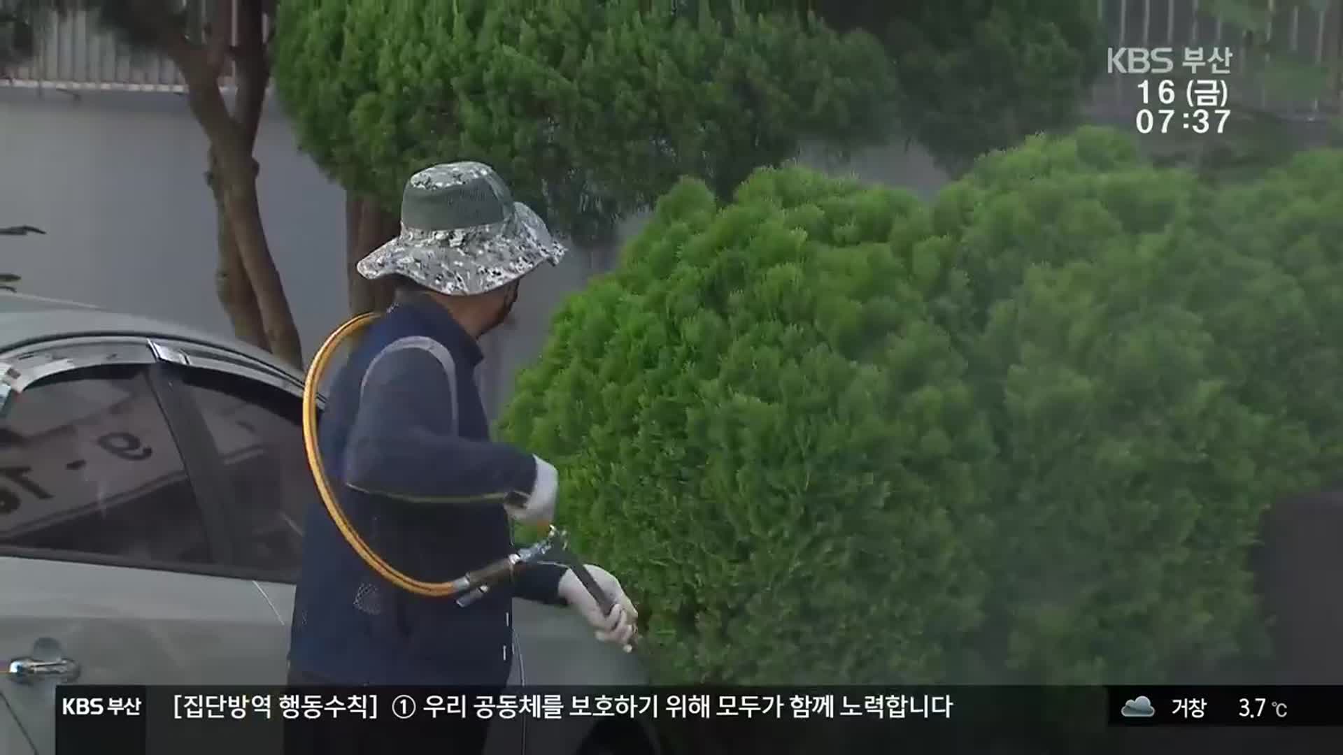 말로만 ‘특별 방역’ 만덕동…실효성 논란