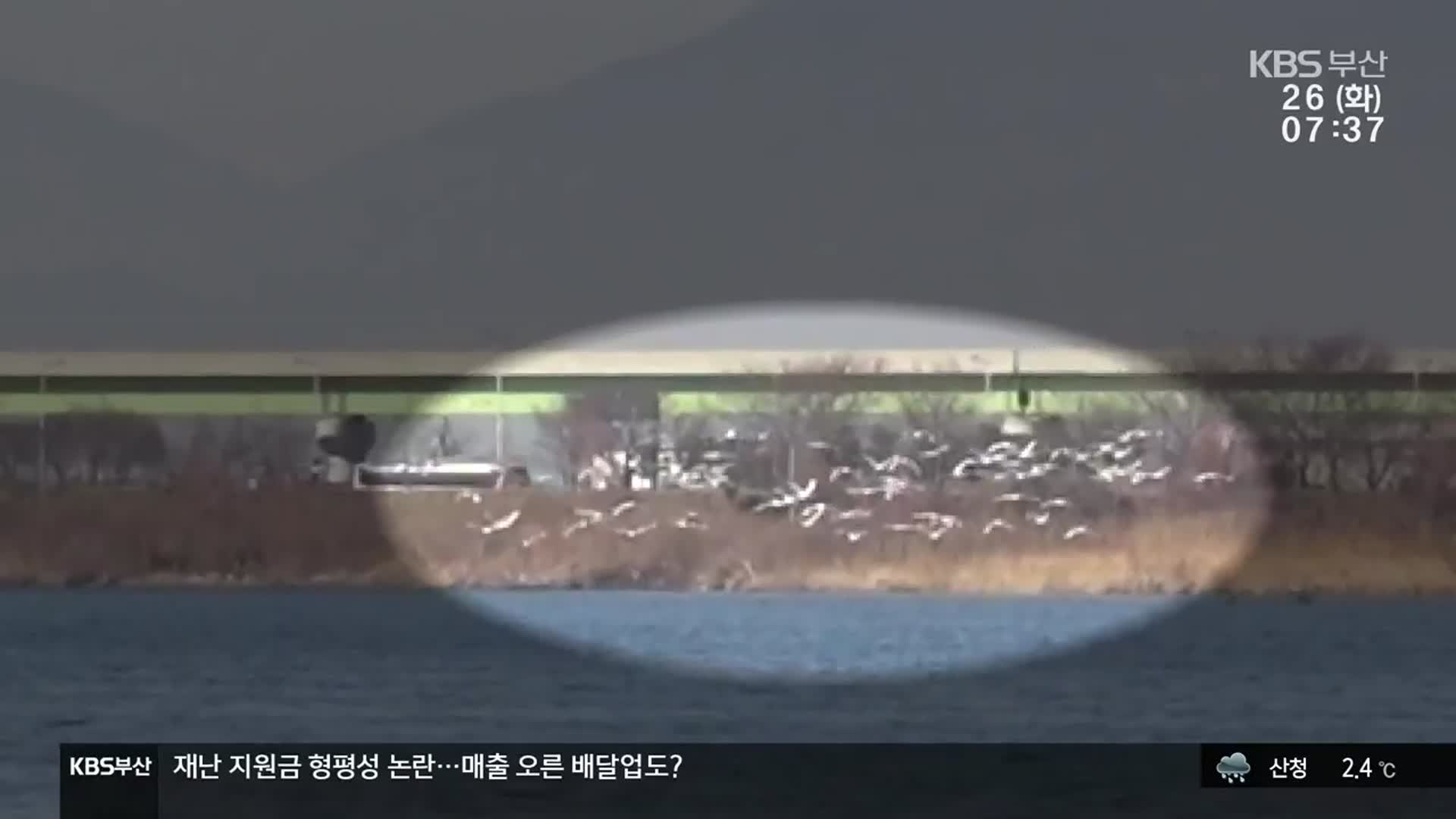철새 서식지 “불법 선박 운항”…고의 ‘의혹’