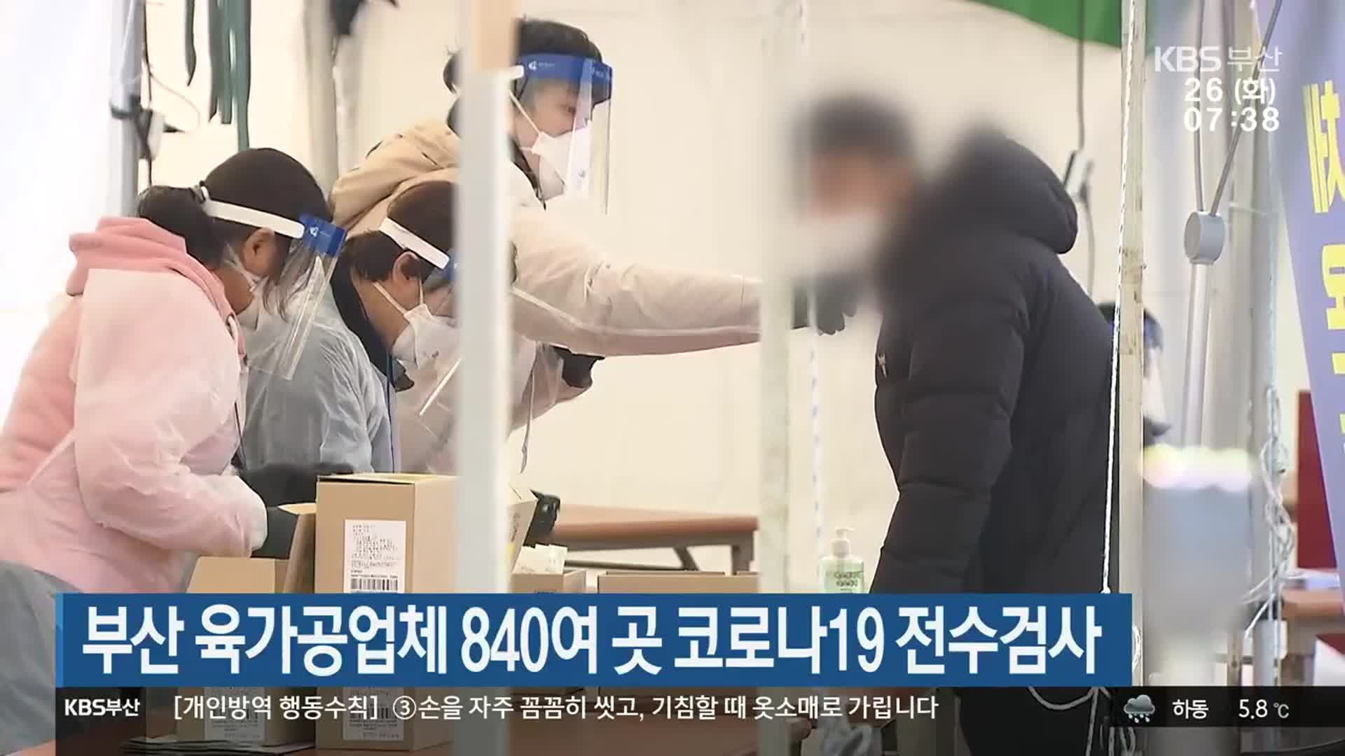 부산 육가공업체 840여 곳 코로나19 전수검사