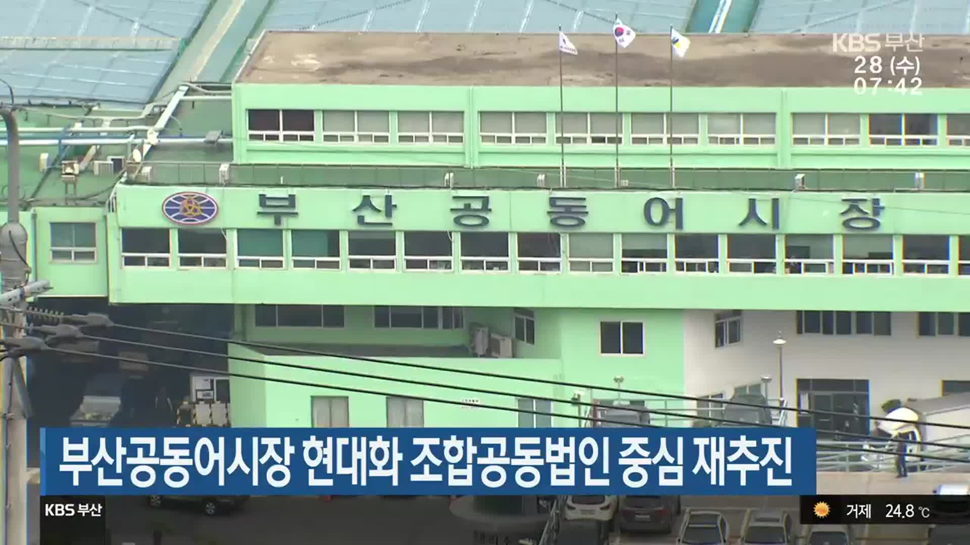 부산공동어시장 현대화 조합공동법인 중심 재추진
