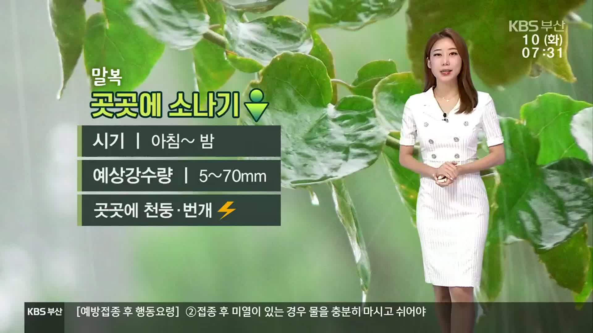 부산, 구름 많고 오후까지 소나기…예상 강수량 5~70mm