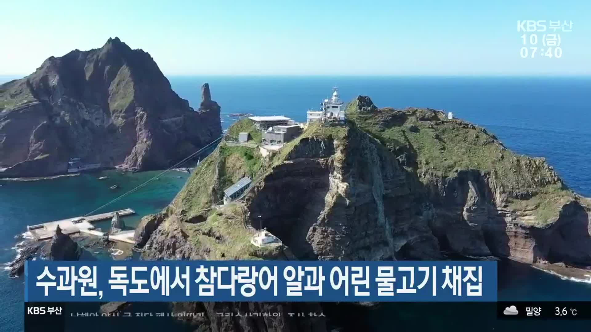 수과원, 독도에서 참다랑어 알과 어린 물고 채집