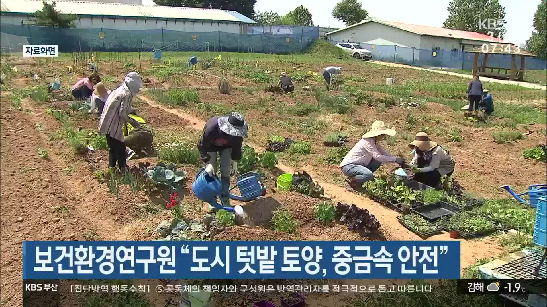 보건환경연구원 “도시 텃밭 토양, 중금속 안전”