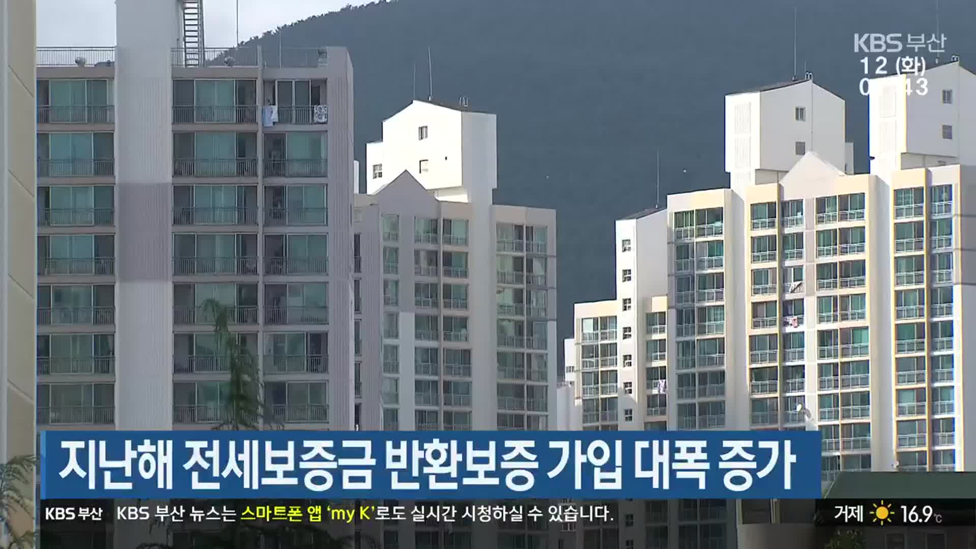 지난해 전세보증금 반환보증 가입 대폭 증가