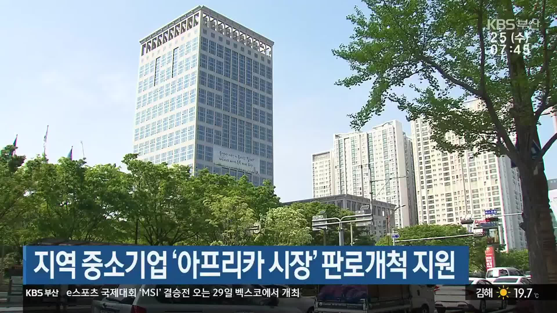 부산 중소기업 ‘아프리카 시장’ 판로개척 지원