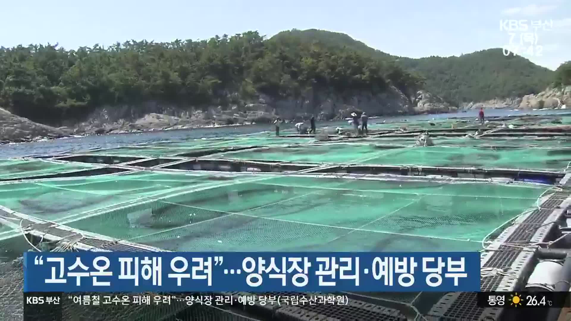 “고수온 피해 우려”…양식장 관리·예방 당부