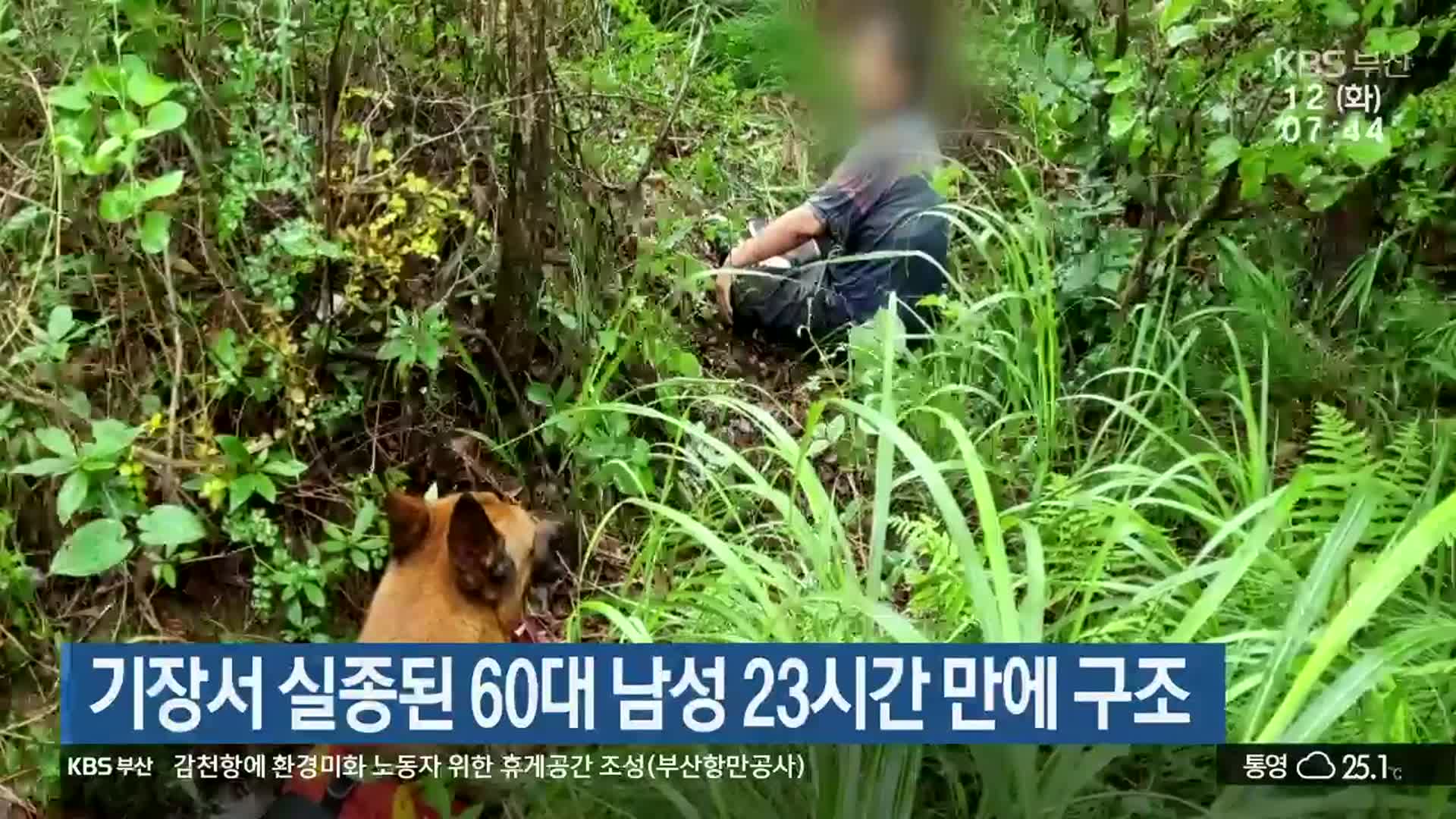 기장서 실종된 60대 남성 23시간 만에 구조