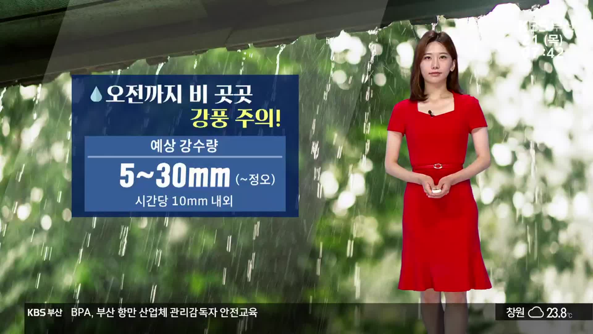 [날씨] 부산 곳곳 오전까지 5~30mm 비…강풍 주의