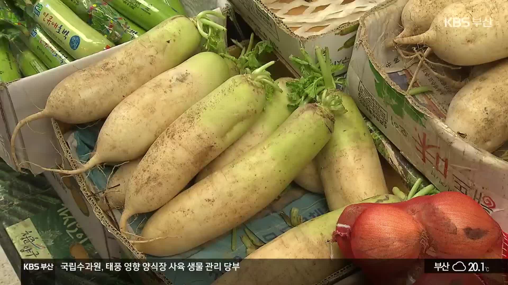 ‘태풍 발 고물가’ 추석 이후에도 불안