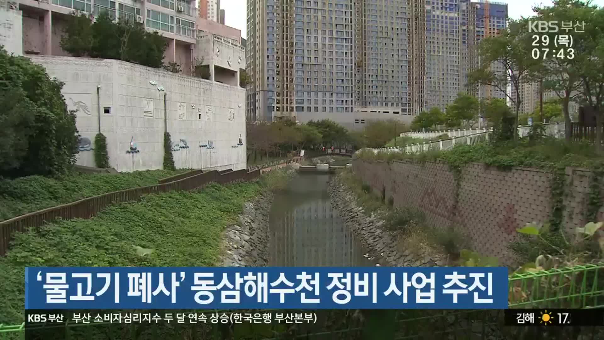 ‘물고기 폐사’ 동삼해수천 정비 사업 추진