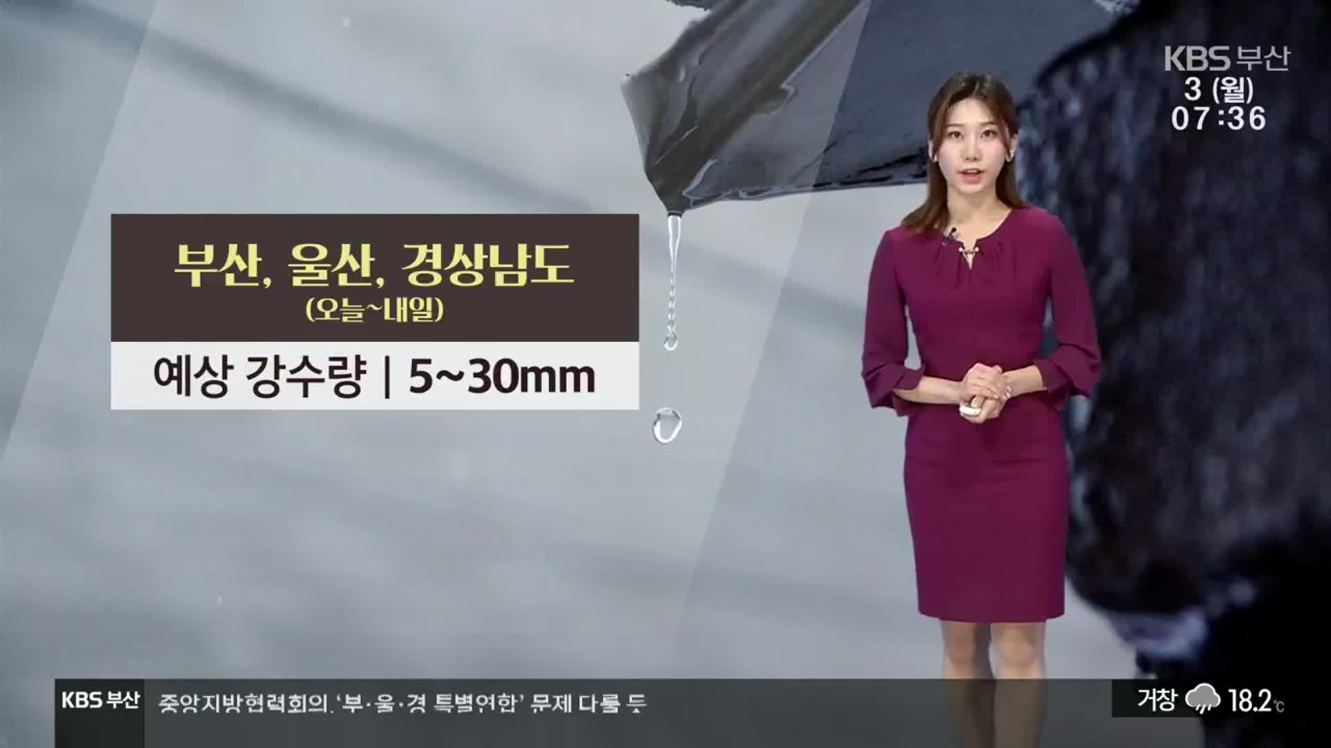 [날씨] 부산 내일까지 5~30mm 비…낮 동안 늦더위