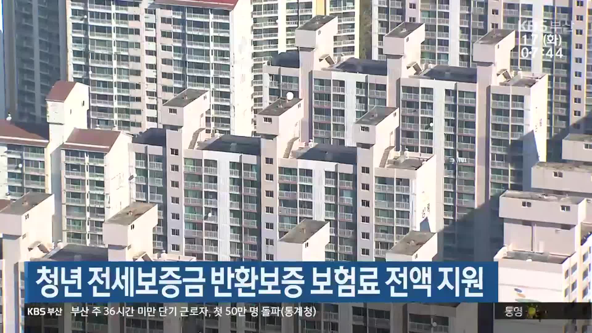 부산 청년 전세보증금 반환보증 보험료 전액 지원