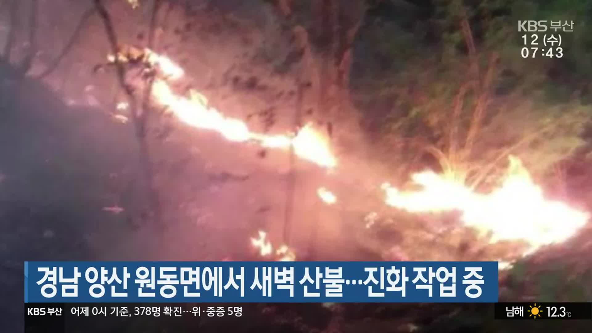 경남 양산 원동면에서 새벽 산불…진화 작업 중