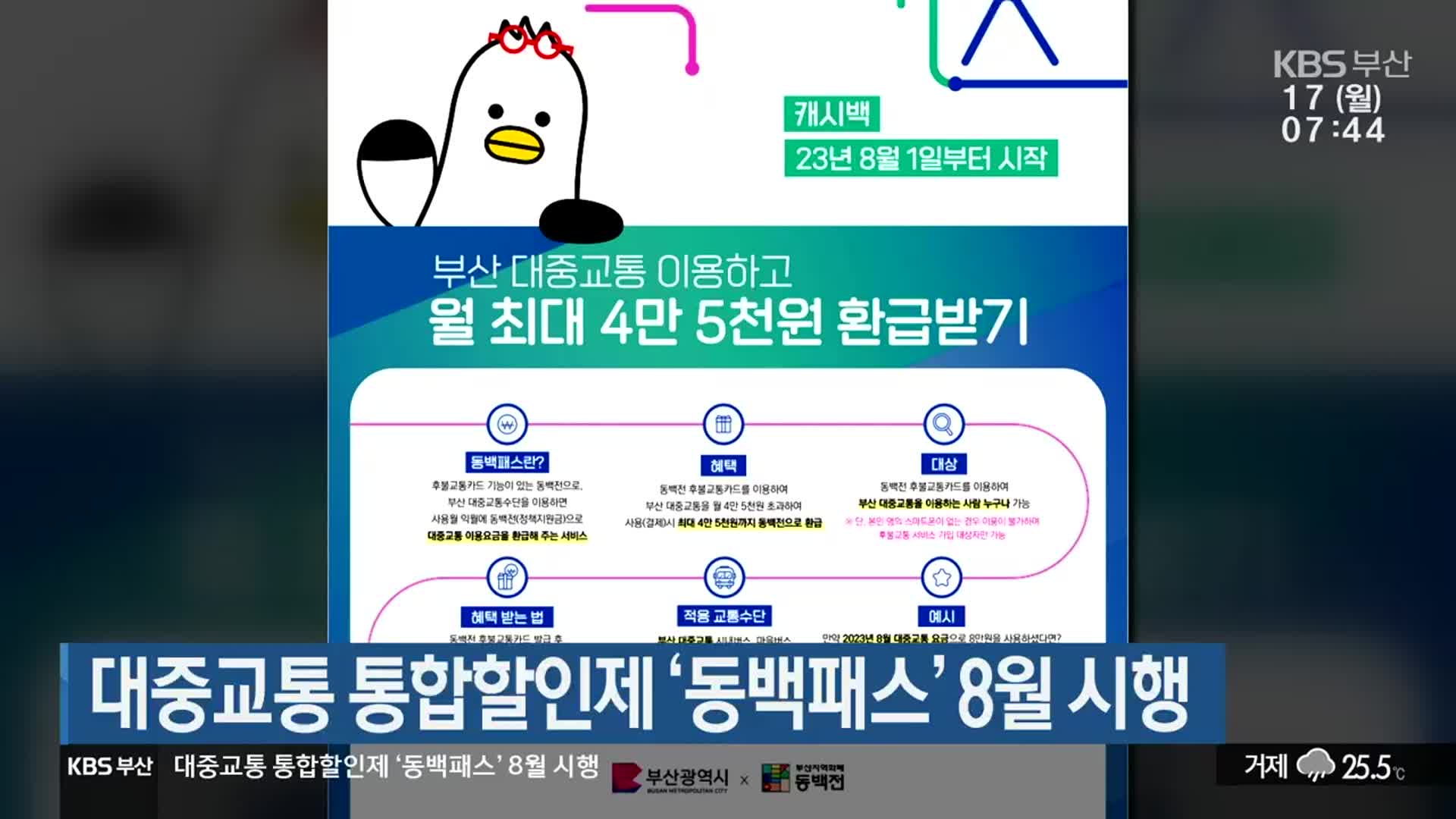 대중교통 통합할인제 ‘동백패스’ 8월 시행