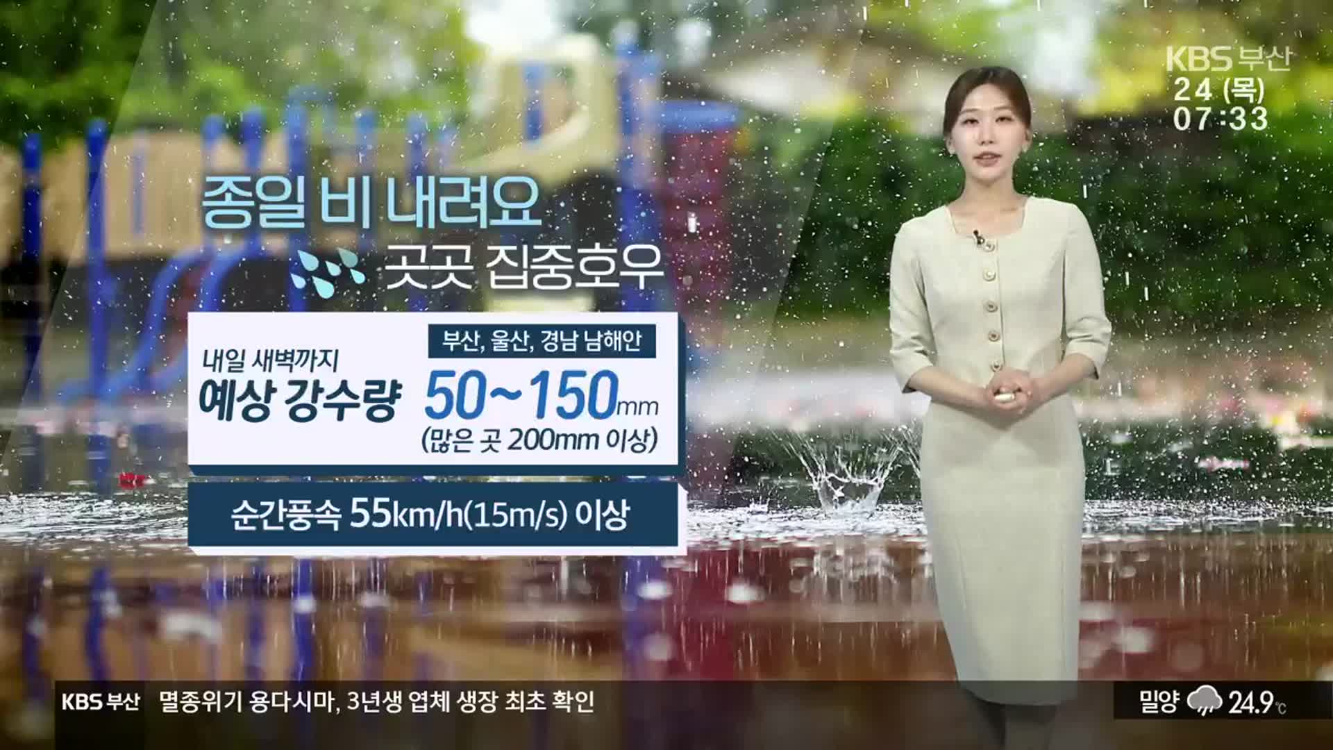 [날씨] 부산 호우경보 발효…내일까지 돌풍 동반 50~150㎜ 비