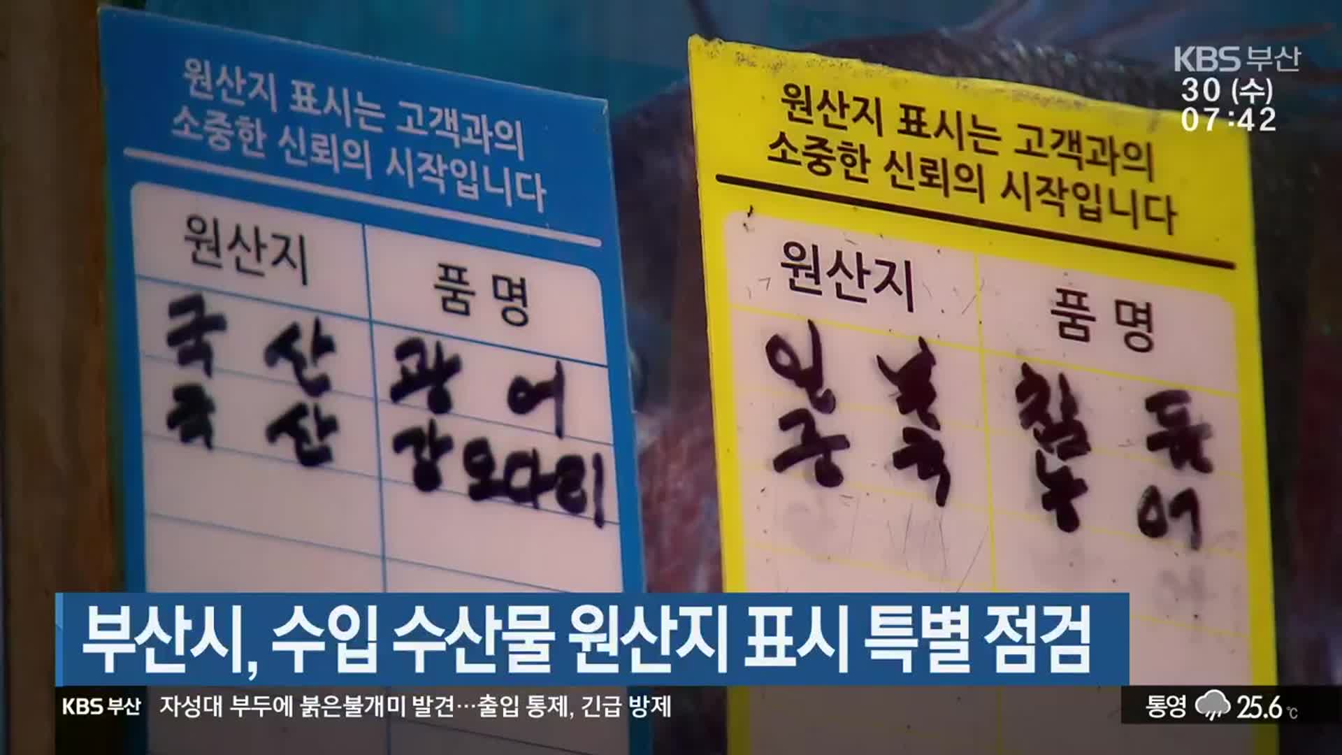 부산시, 수입 수산물 원산지 표시 특별 점검