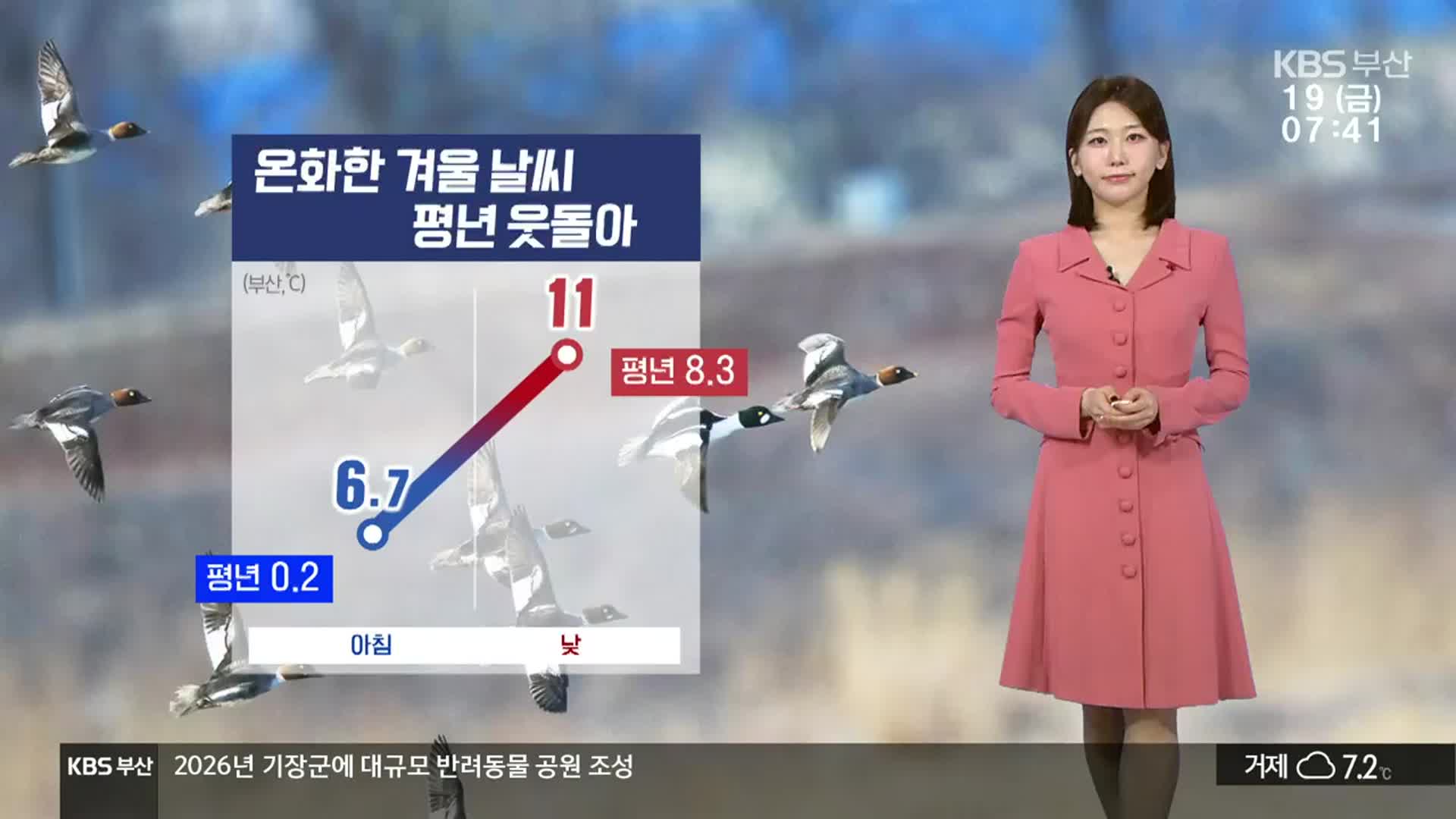 [날씨] 부산 온화한 겨울 기온…한낮 11도