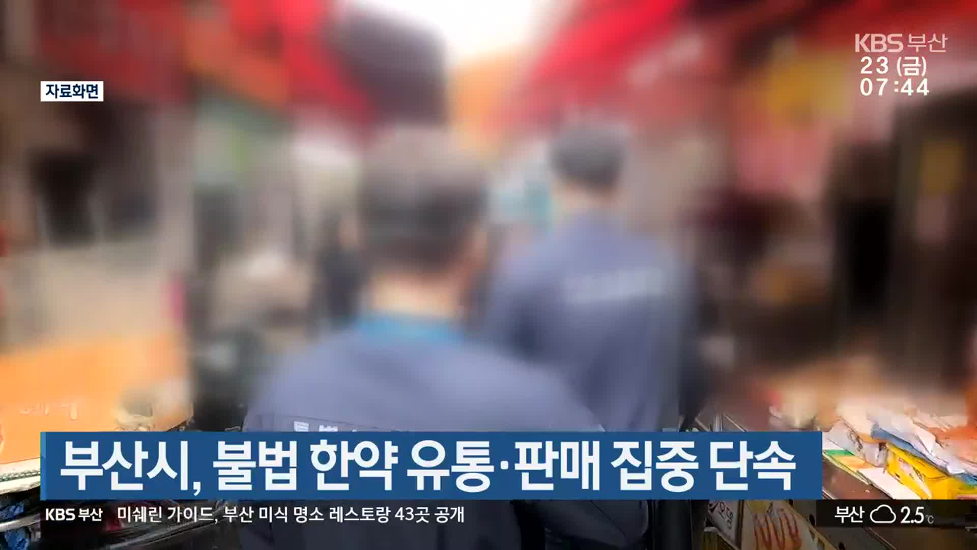 부산시, 불법 한약 유통·판매 집중 단속