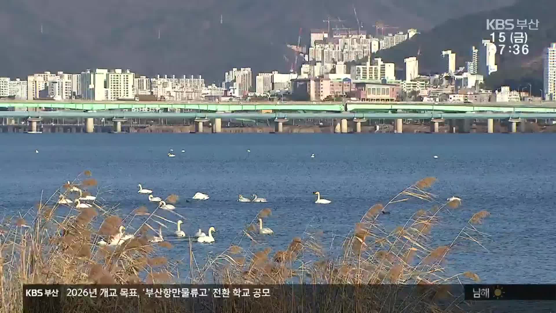 잇단 보호구역 축소…대체 서식지가 능사?