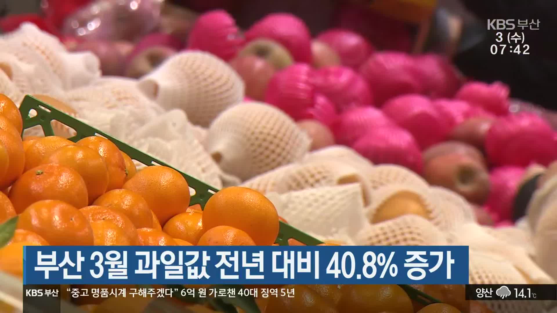 부산 3월 과일값 전년 대비 40.8% 증가