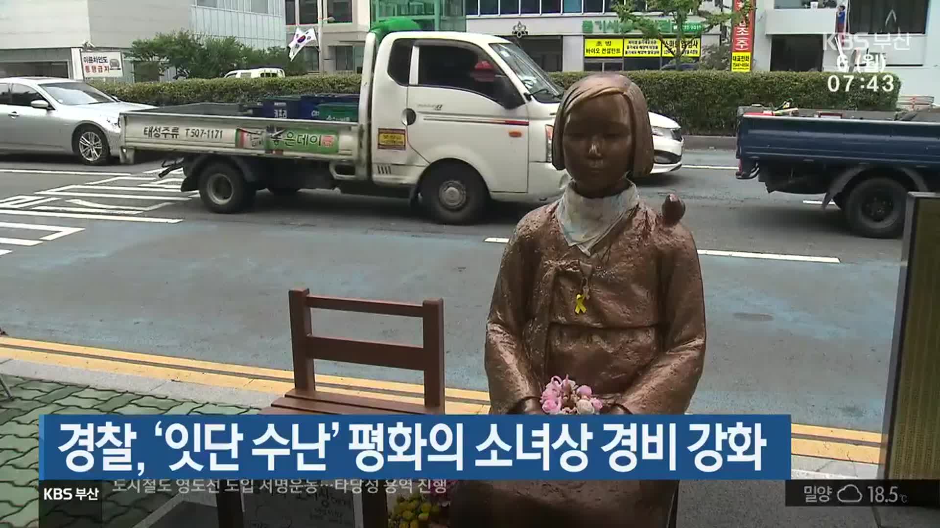 경찰, ‘잇단 수난’ 평화의 소녀상 경비 강화