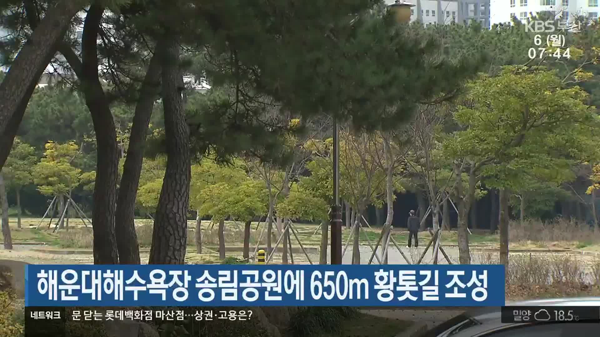 해운대해수욕장 송림공원에 650m 황톳길 조성