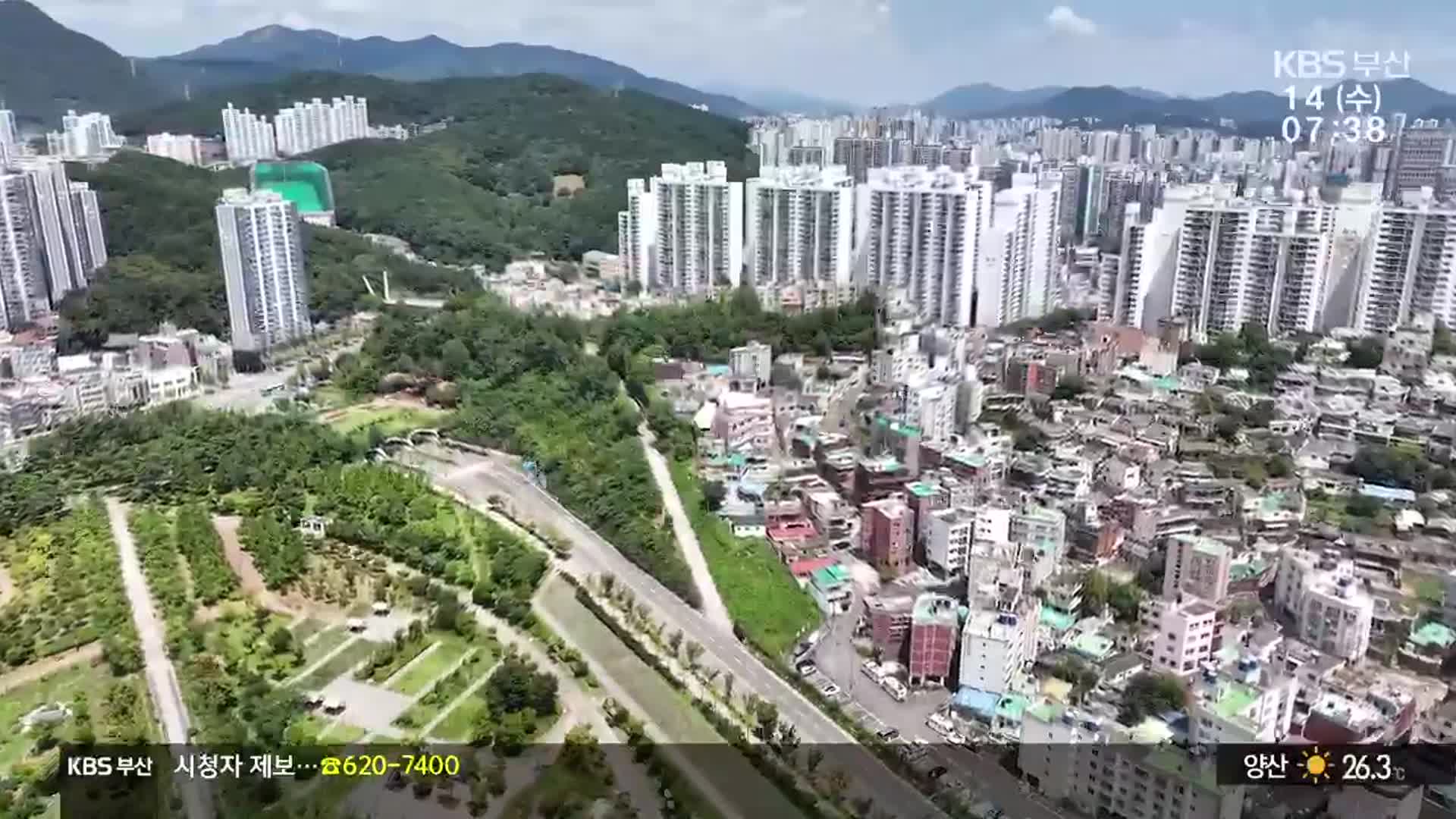 열섬 현상 완화 ‘도시숲’…폭염 대책으론 ‘한계’