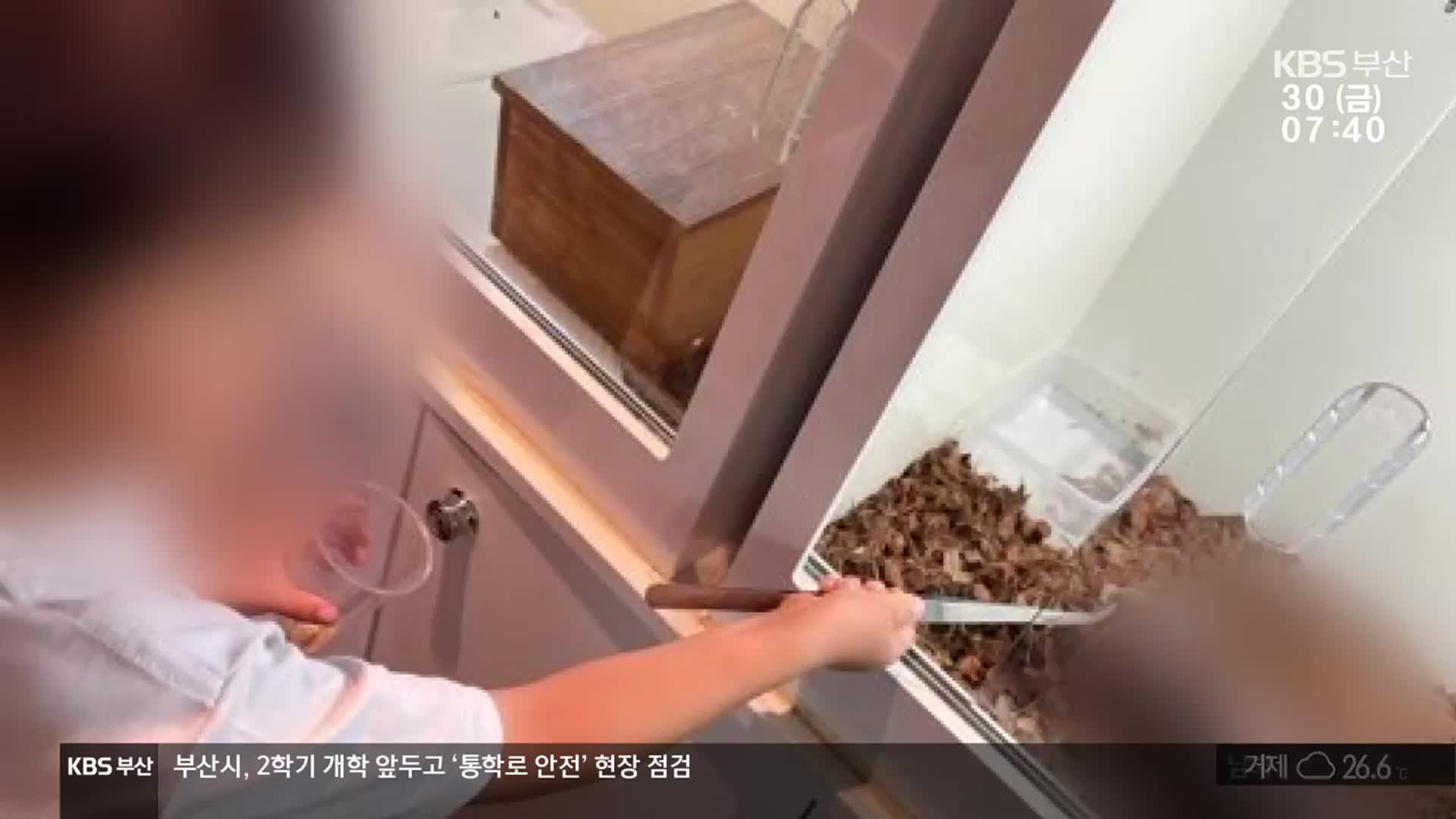 먹이 주기 체험하다 ‘뱀 물림’…안전 사각지대