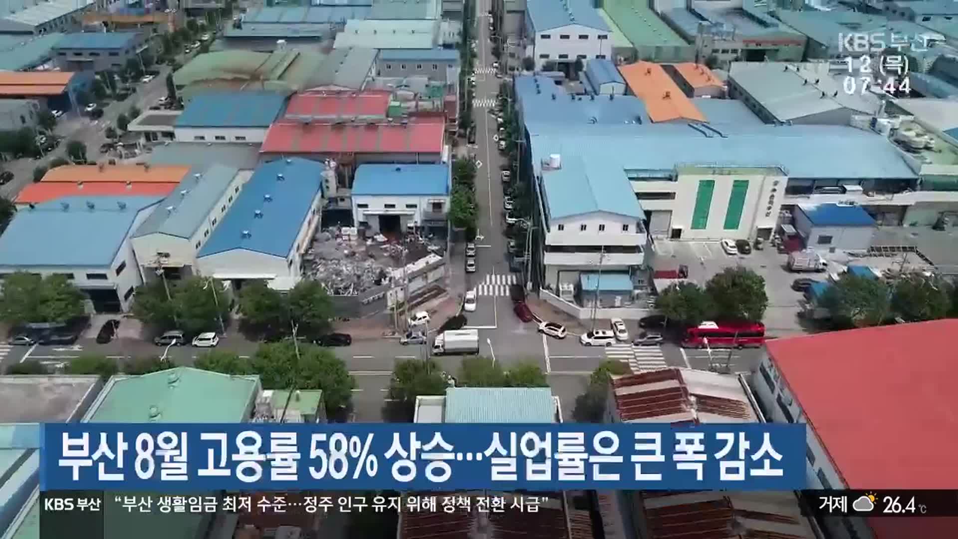 부산 8월 고용률 58% 상승…실업률은 큰 폭 감소