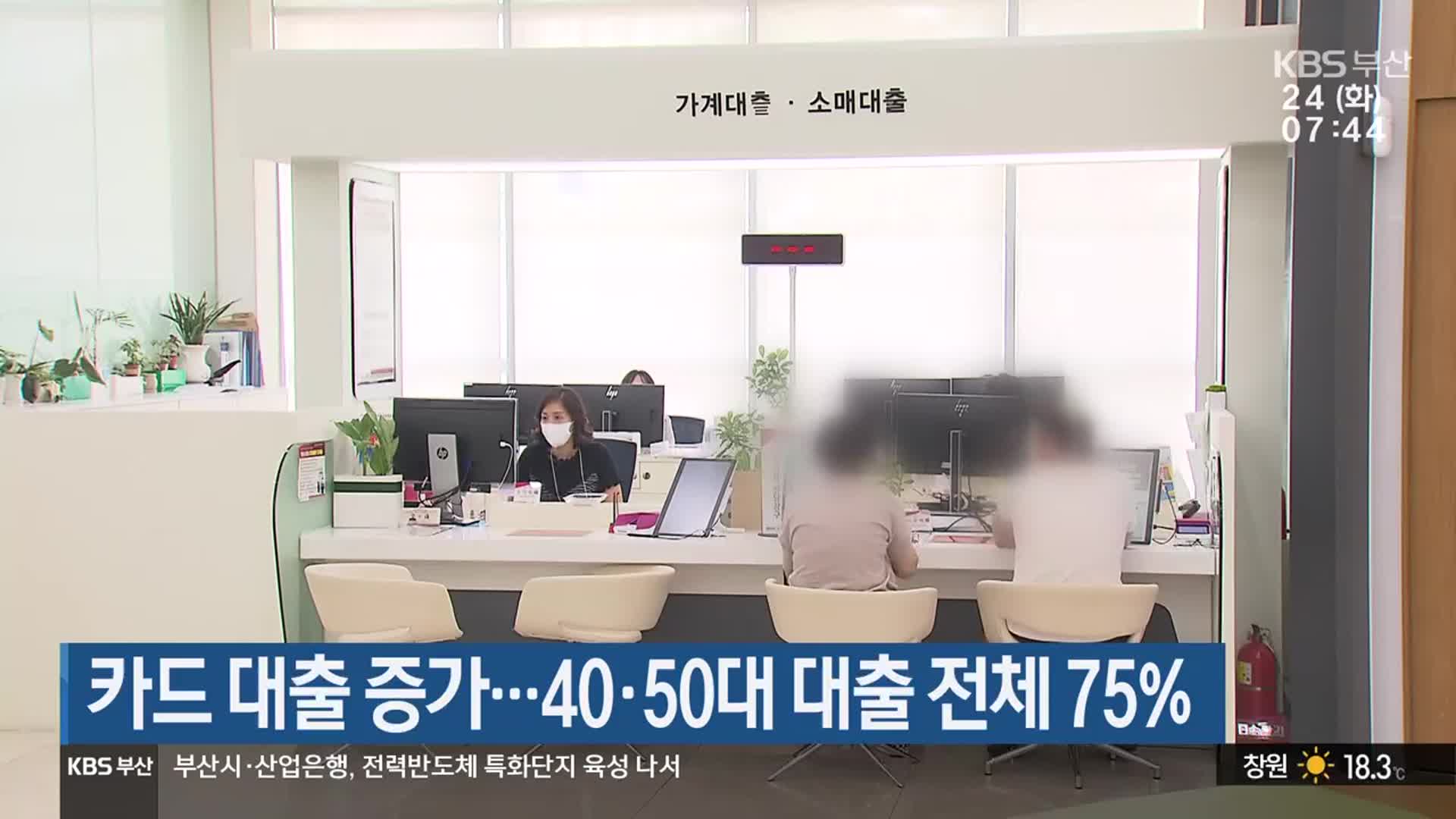 카드 대출 증가…40·50대 대출 전체 75%