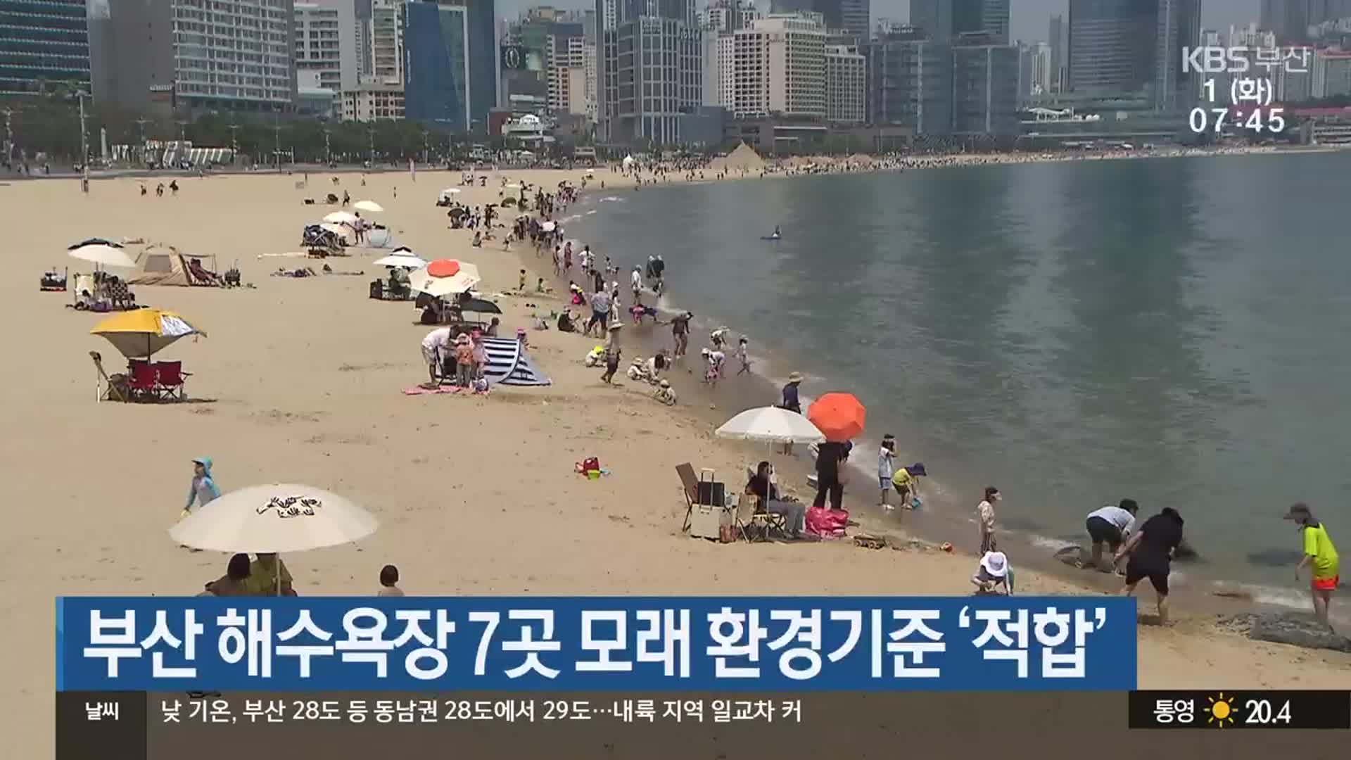 부산 해수욕장 7곳 모래 환경기준 ‘적합’