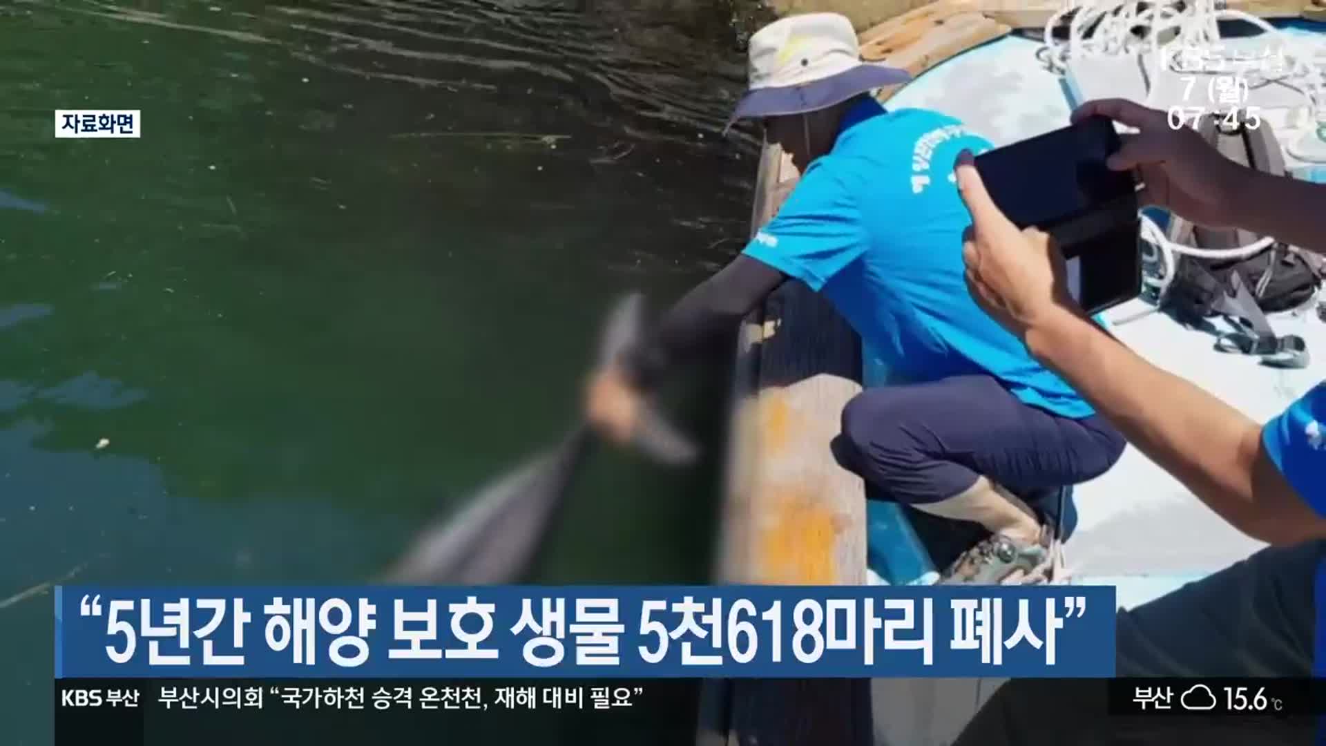 “5년간 해양 보호 생물 5천618마리 폐사”