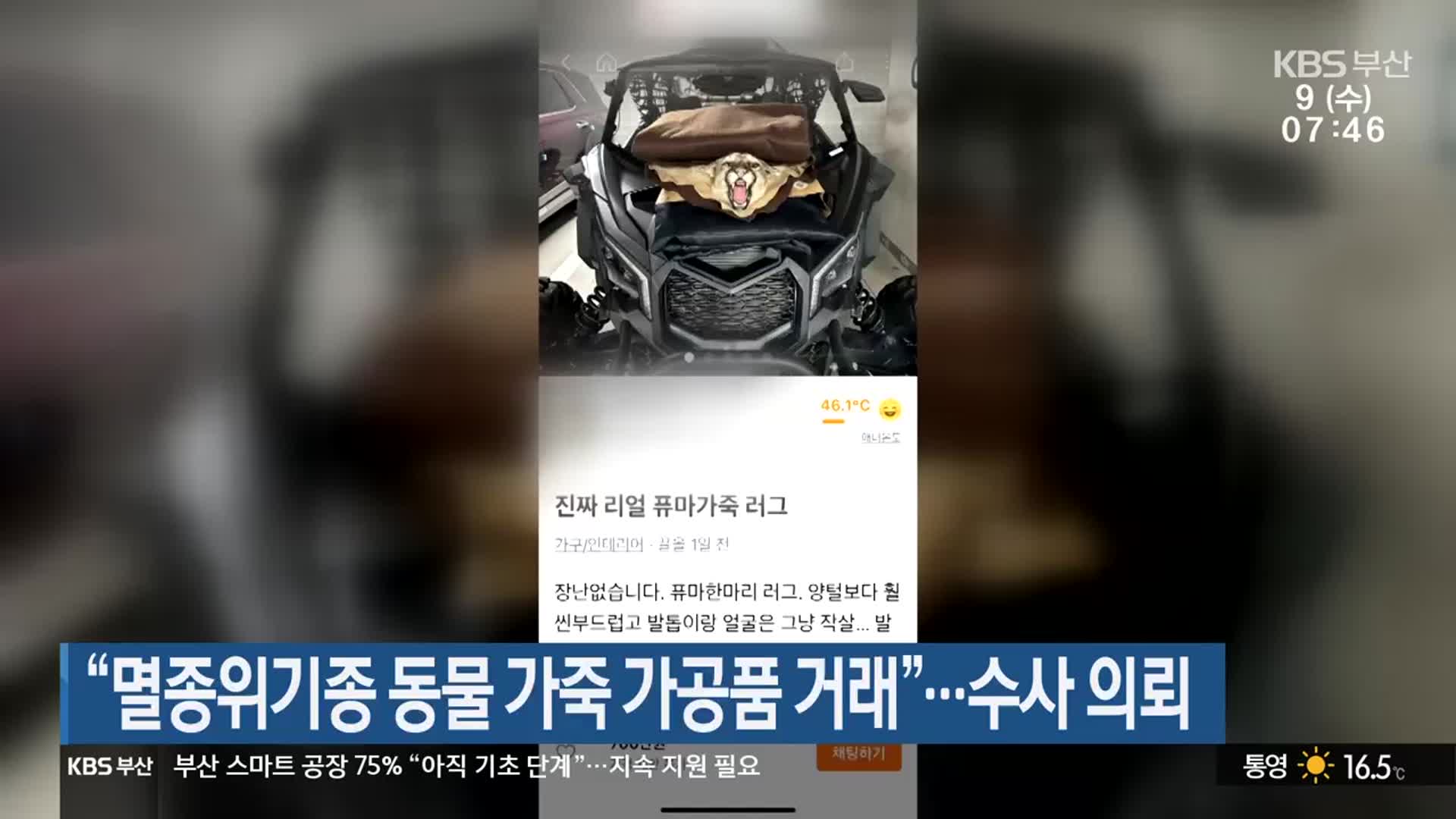 “멸종위기종 동물 가죽 가공품 거래”…수사 의뢰