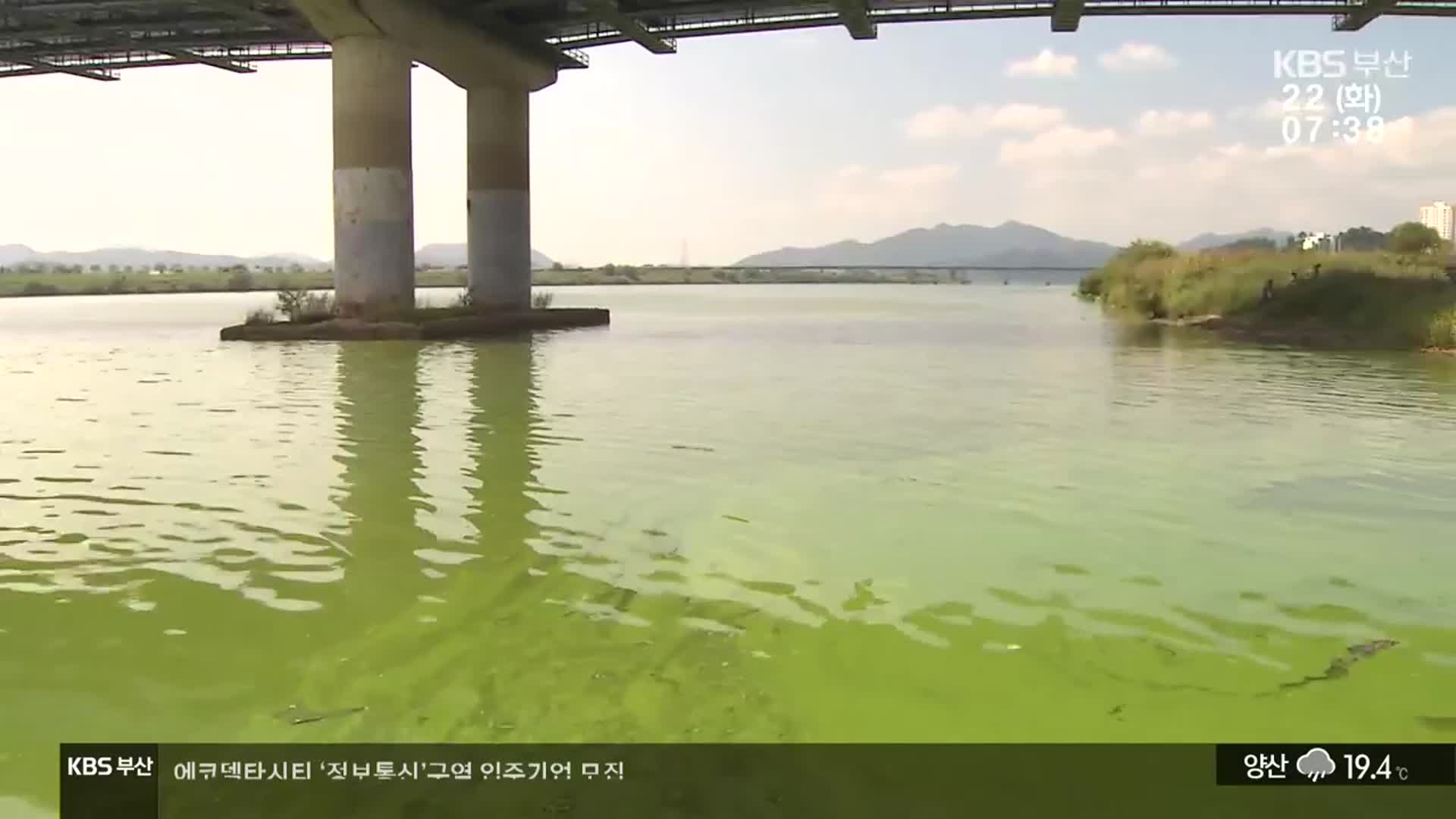 “가을녹조·공기노출 위험…국회 청문회 요청”