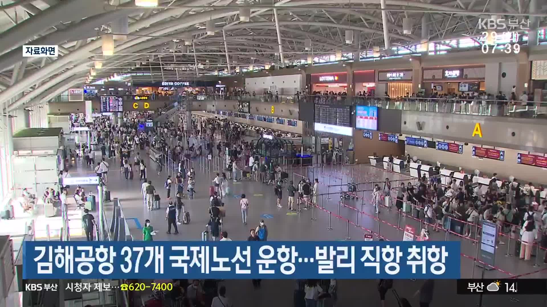 김해공항 37개 국제노선 운항…발리 직항 취항